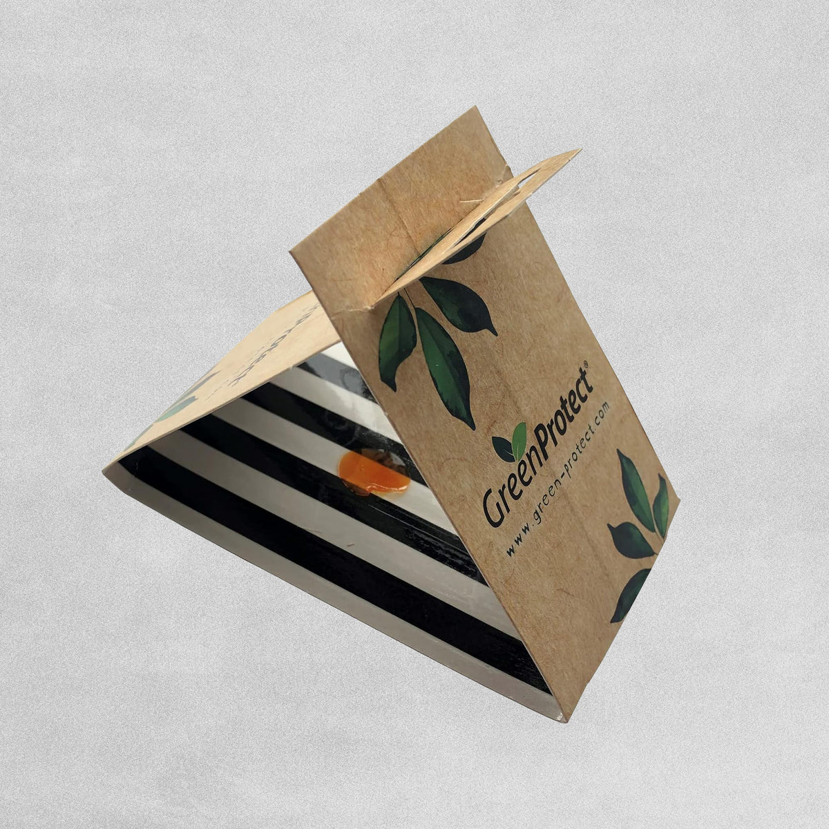 Green Protect Flour Moth Trap 2 Pk
