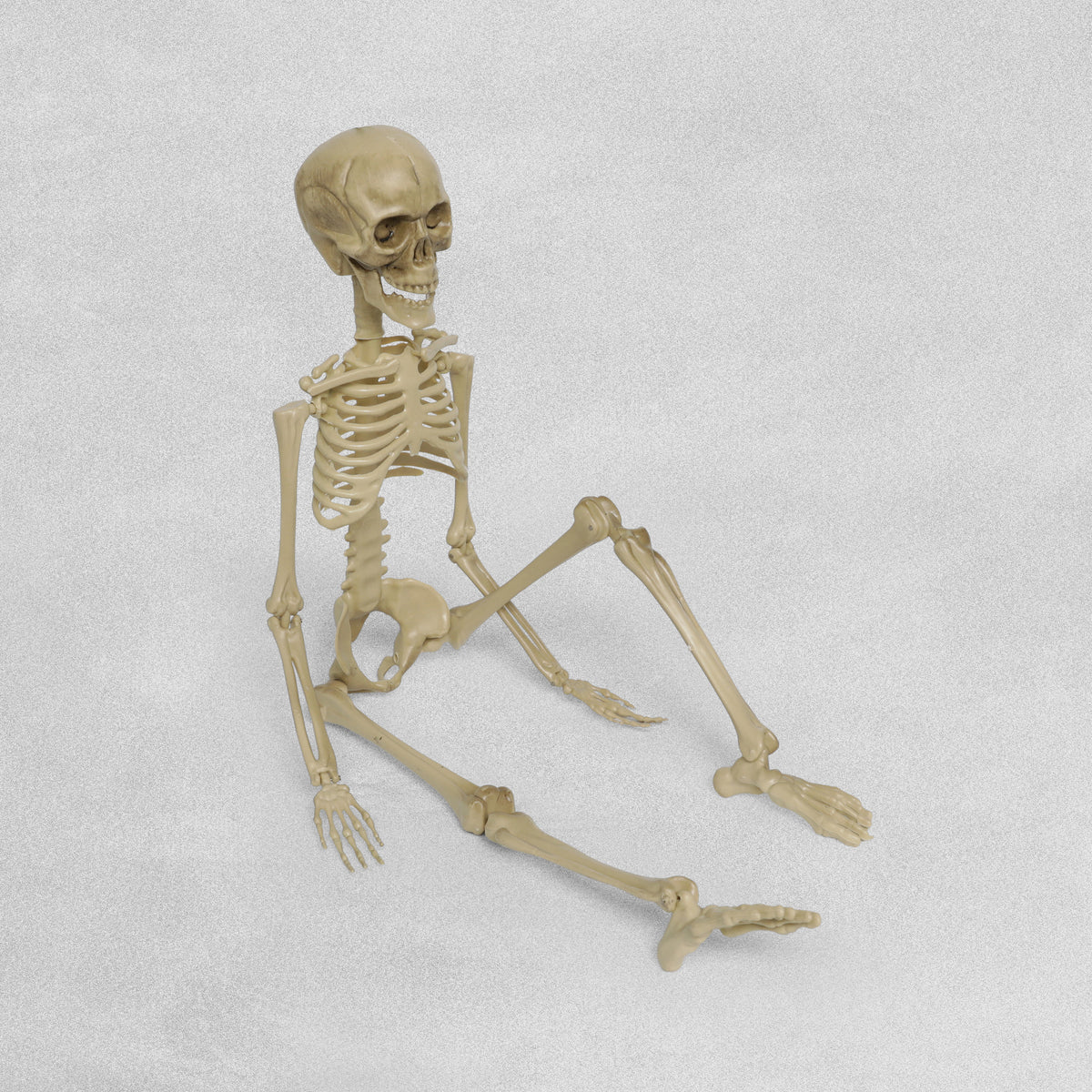 Halloween 45cm Hanging Skeleton