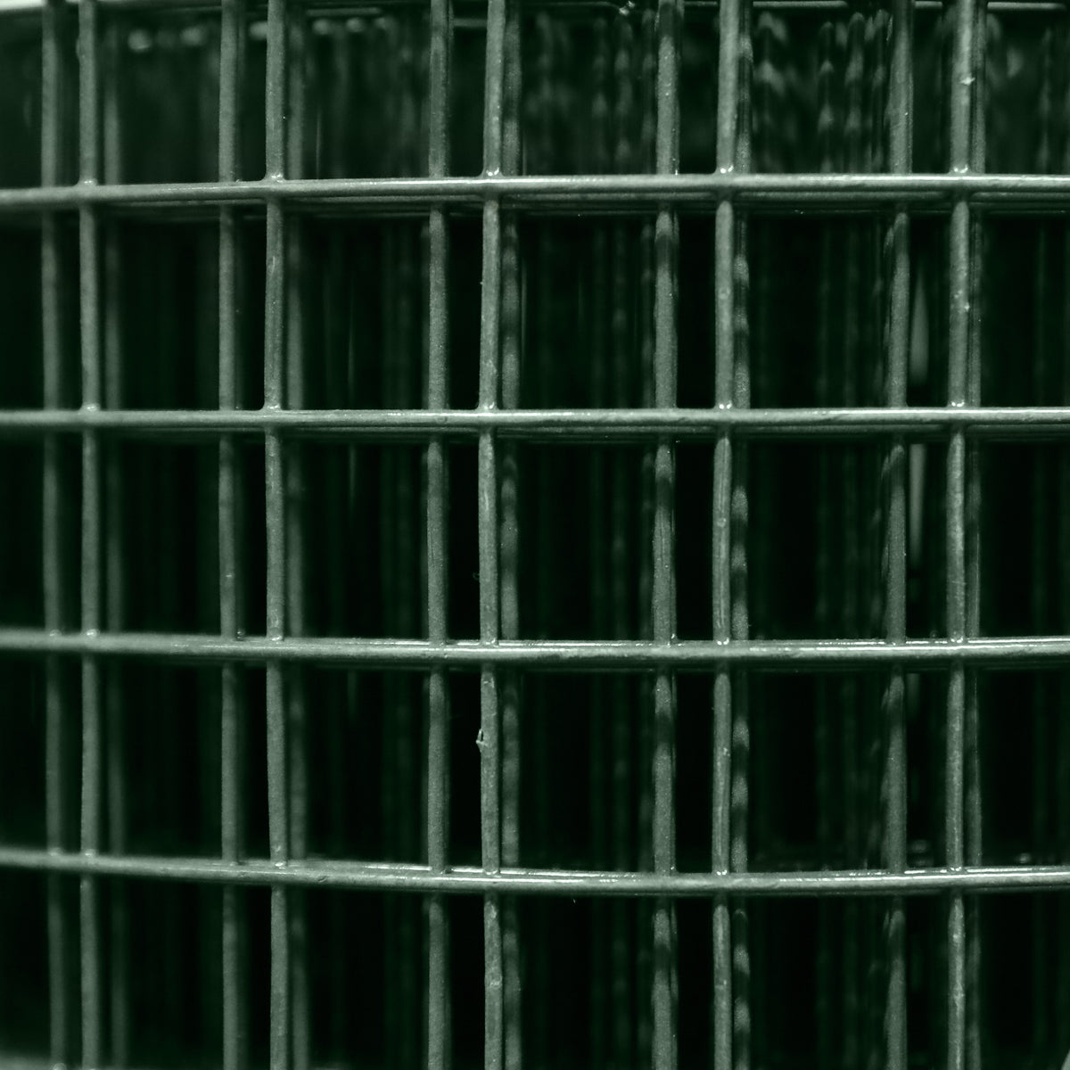 Charles Rose PVC Coated Galvanised Wire Fence Welded 16 Gauge Mesh 1" x 1" - Various Roll Sizes