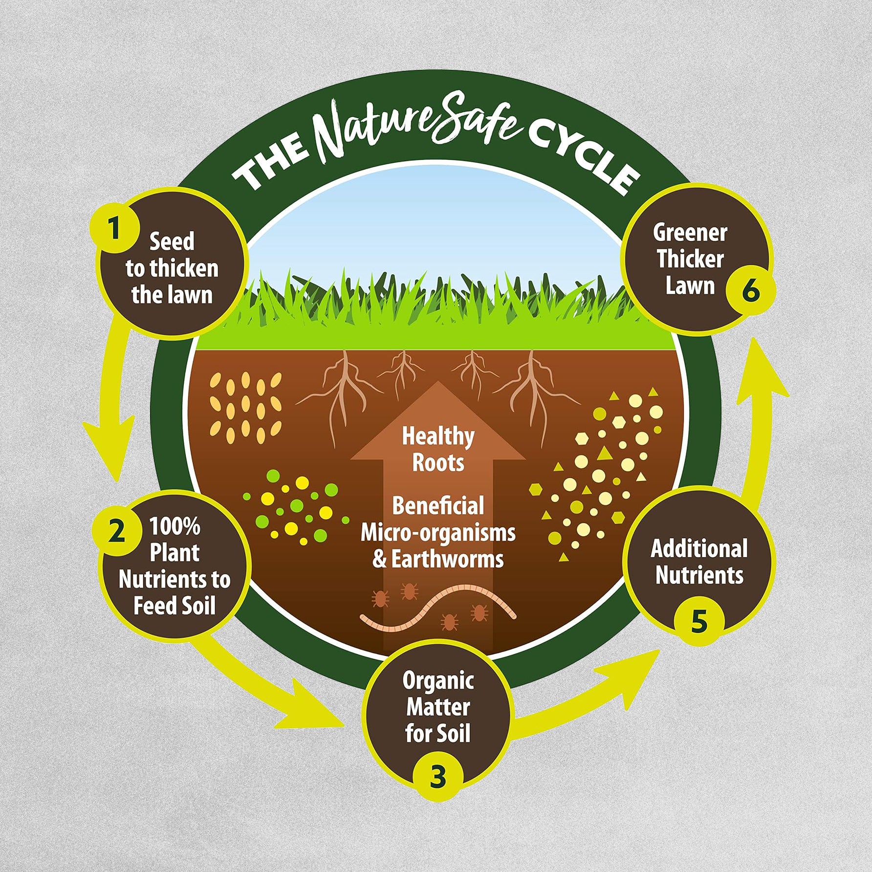 Nature Safe Patch Fix Lawn Seed 1KG