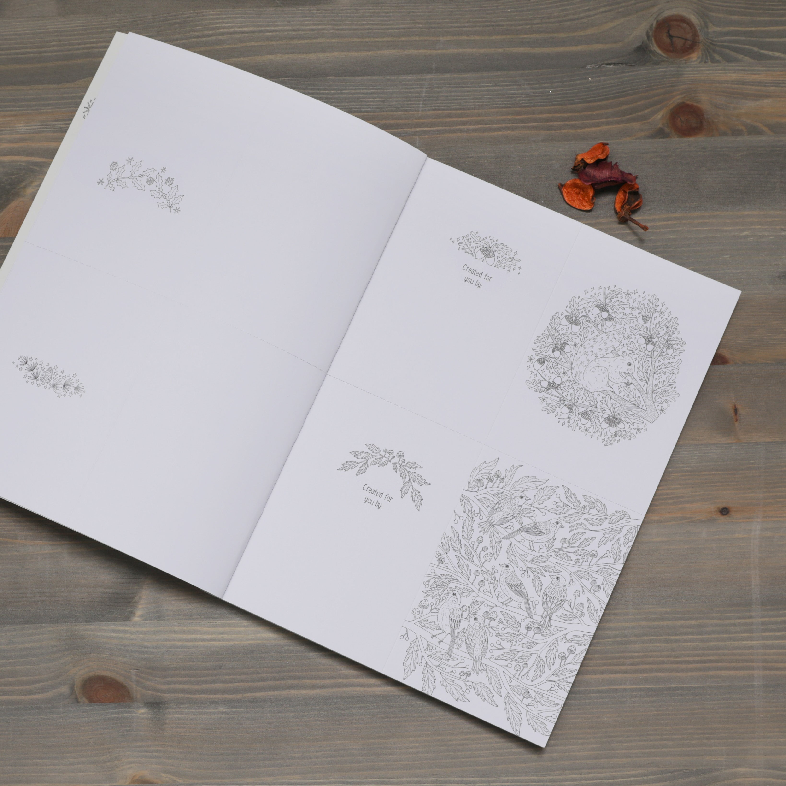 RHS Christmas Cards & Envelope Book
