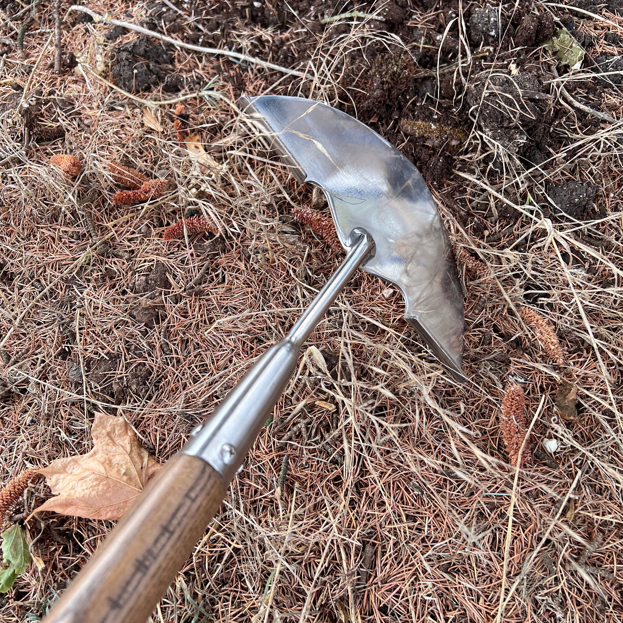 Charles Rose Stainless Steel Lawn Edger - Ash Handle