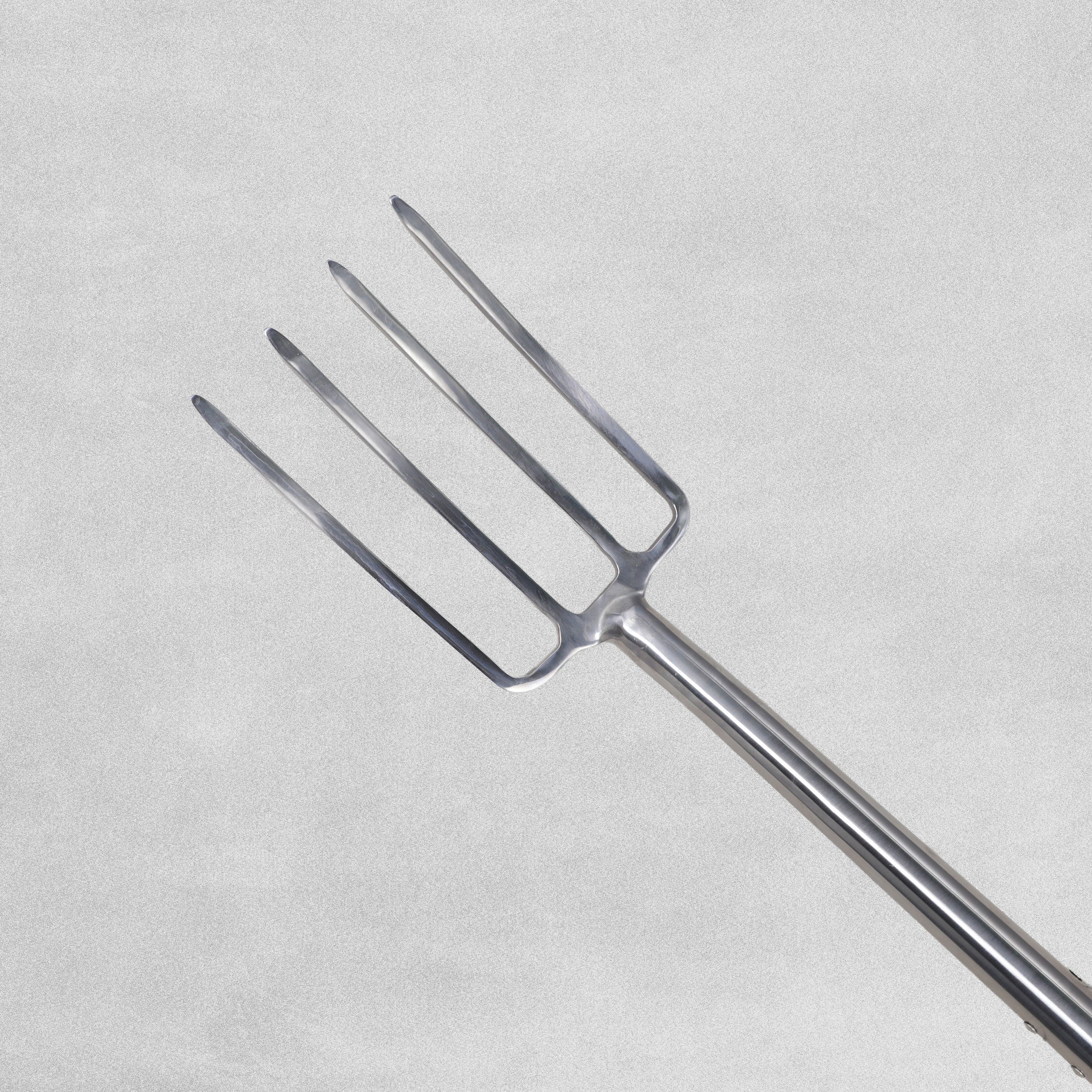 Charles Rose  Stainless Steel Border Fork