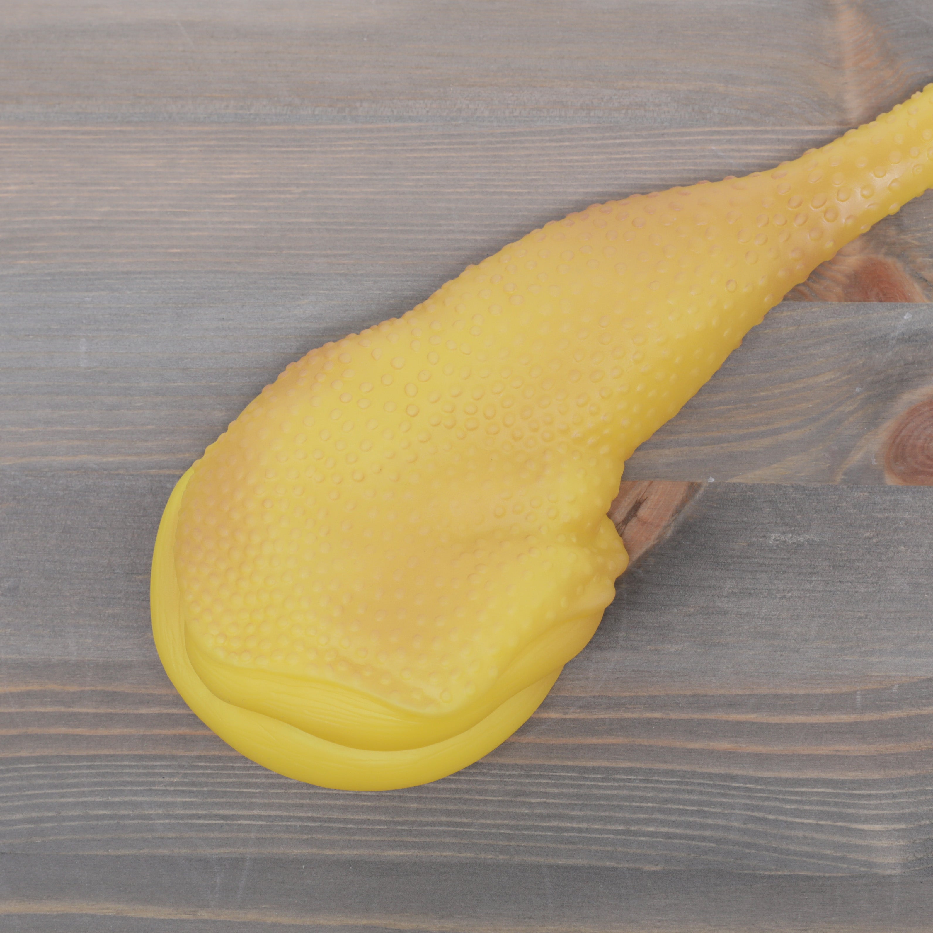 Pet Parlour Chicken Leg and Steak Dog Toy