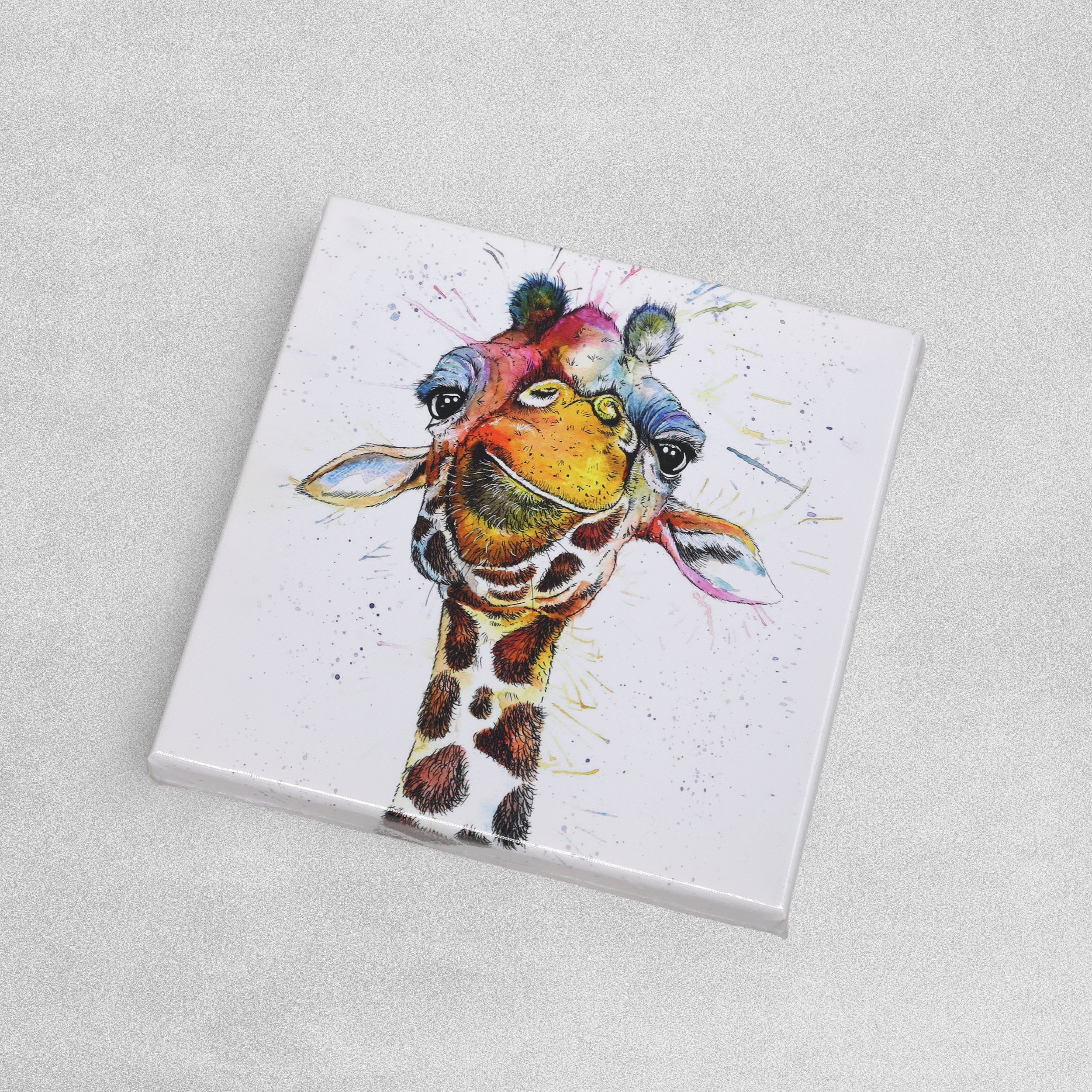 Deluxe Canvas Wall Art - Various Designs