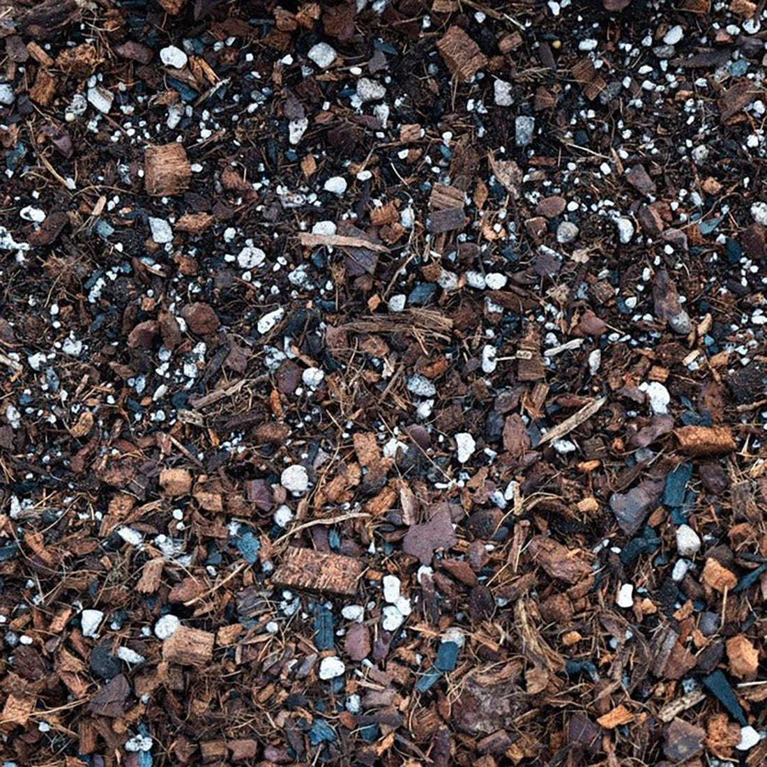 GrowTropicals Simply Houseplant 8L