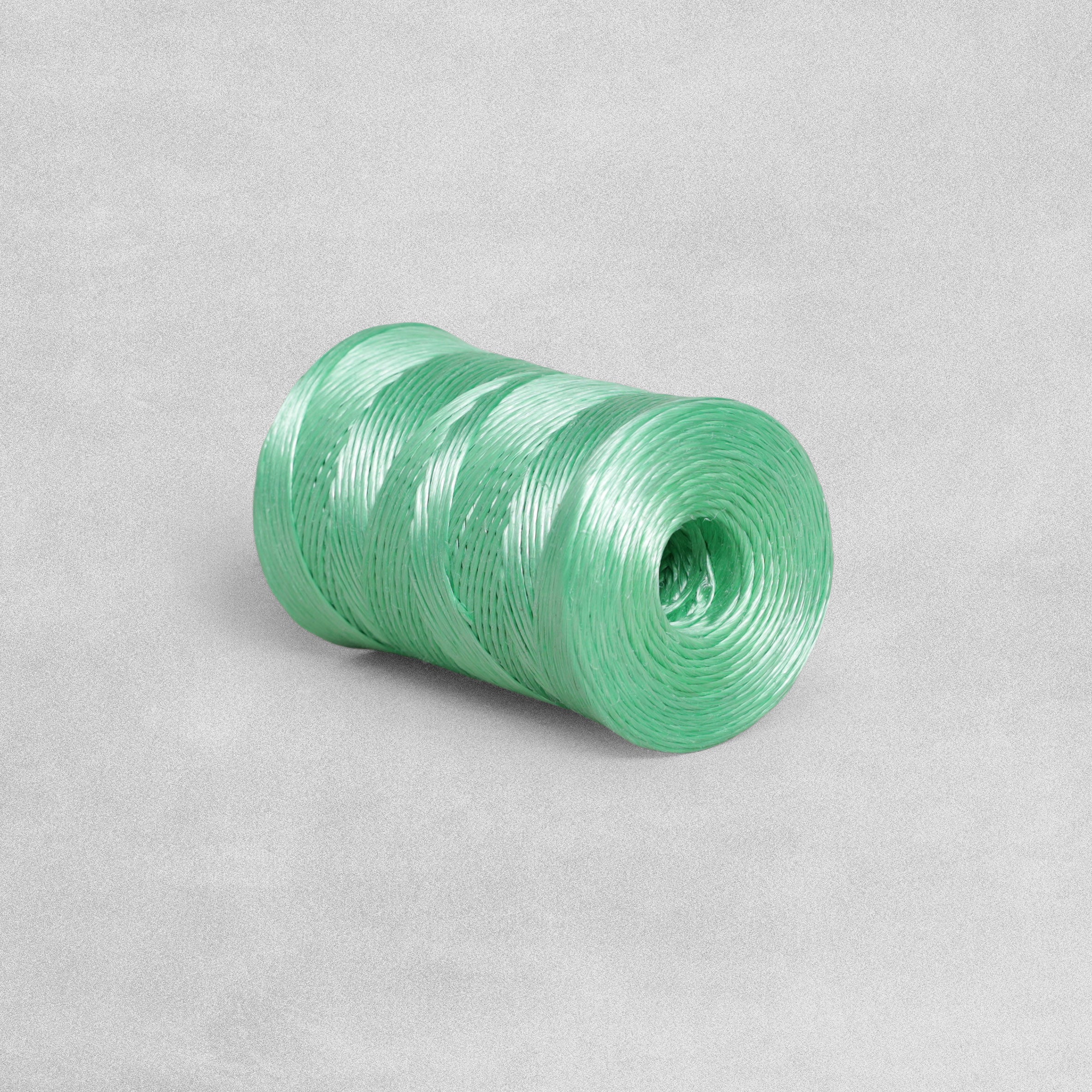 Down To Earth Rot Resistant Twine 100g