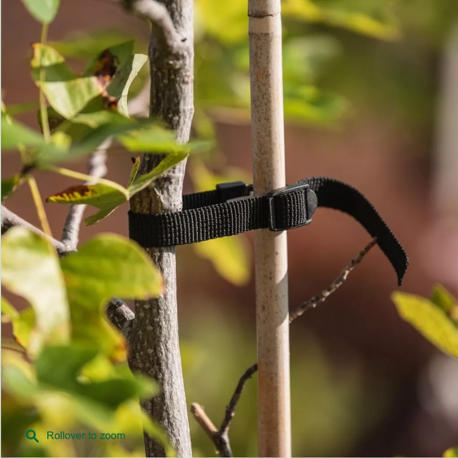 Down To Earth Rose, Shrub & Tree Ties 4pcs 13mm x 320mm