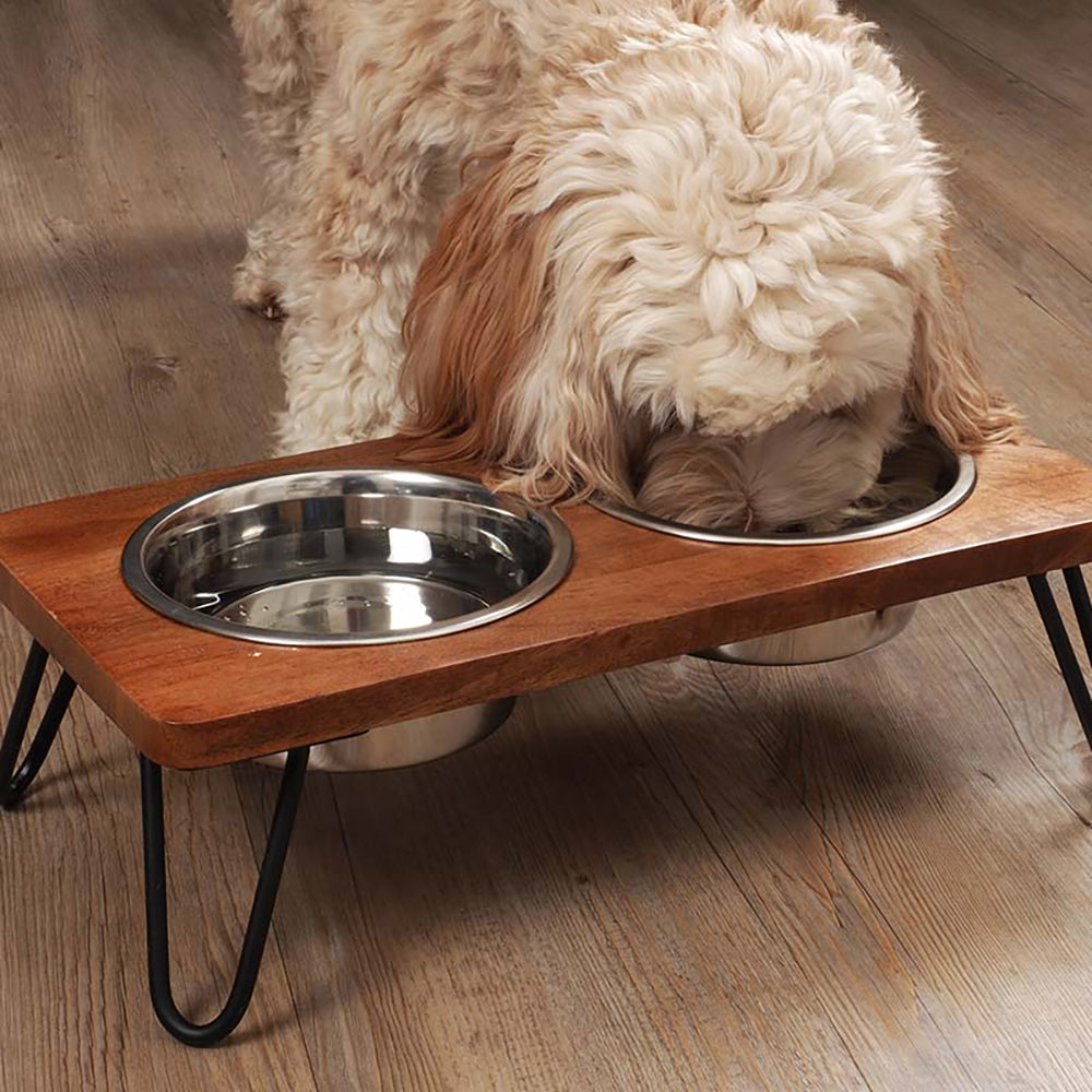 Zoon Double Diner - 2 Stainless Steel Bowls in Wooden Stand