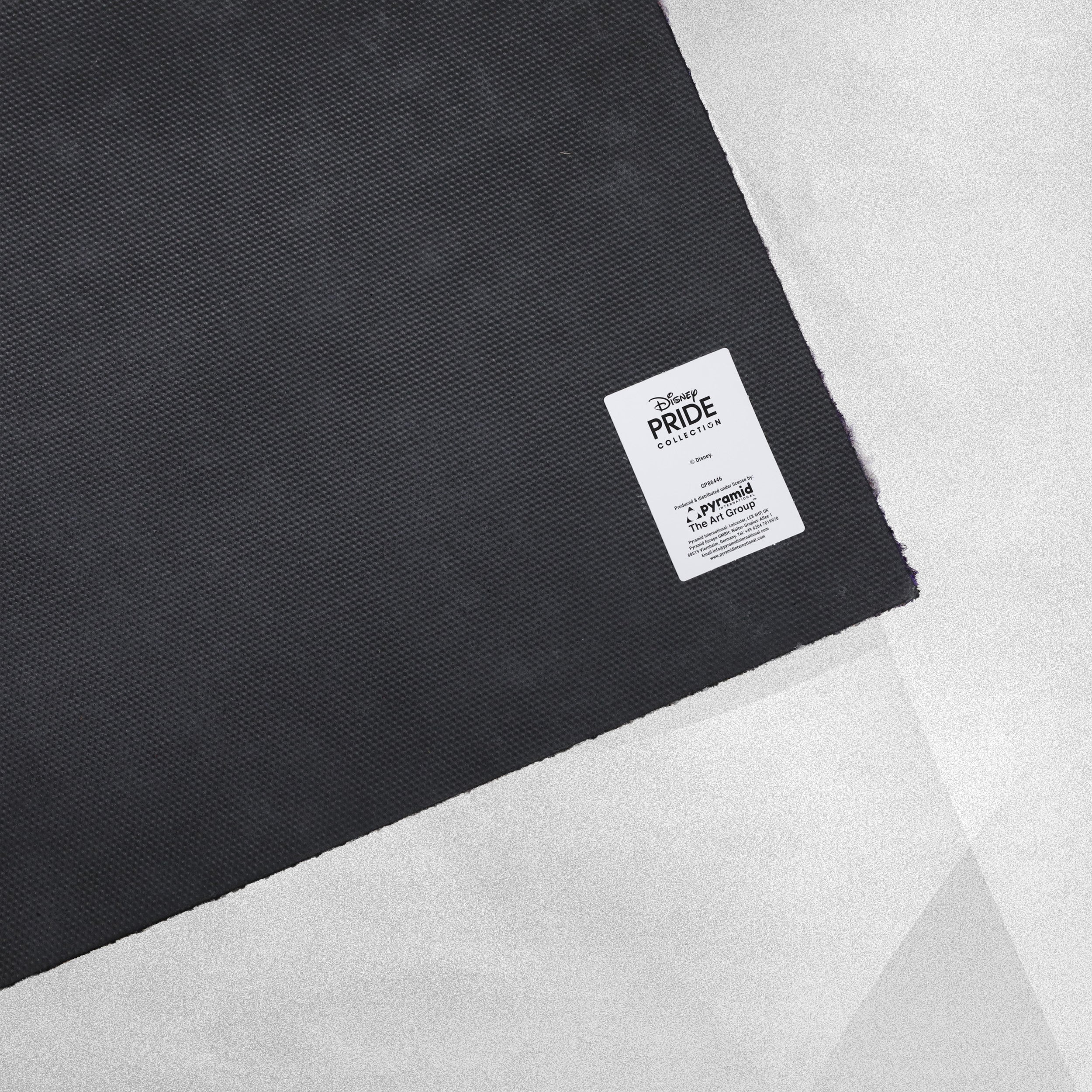 Disney Pride Coir Door Mat 60cm x 40cm