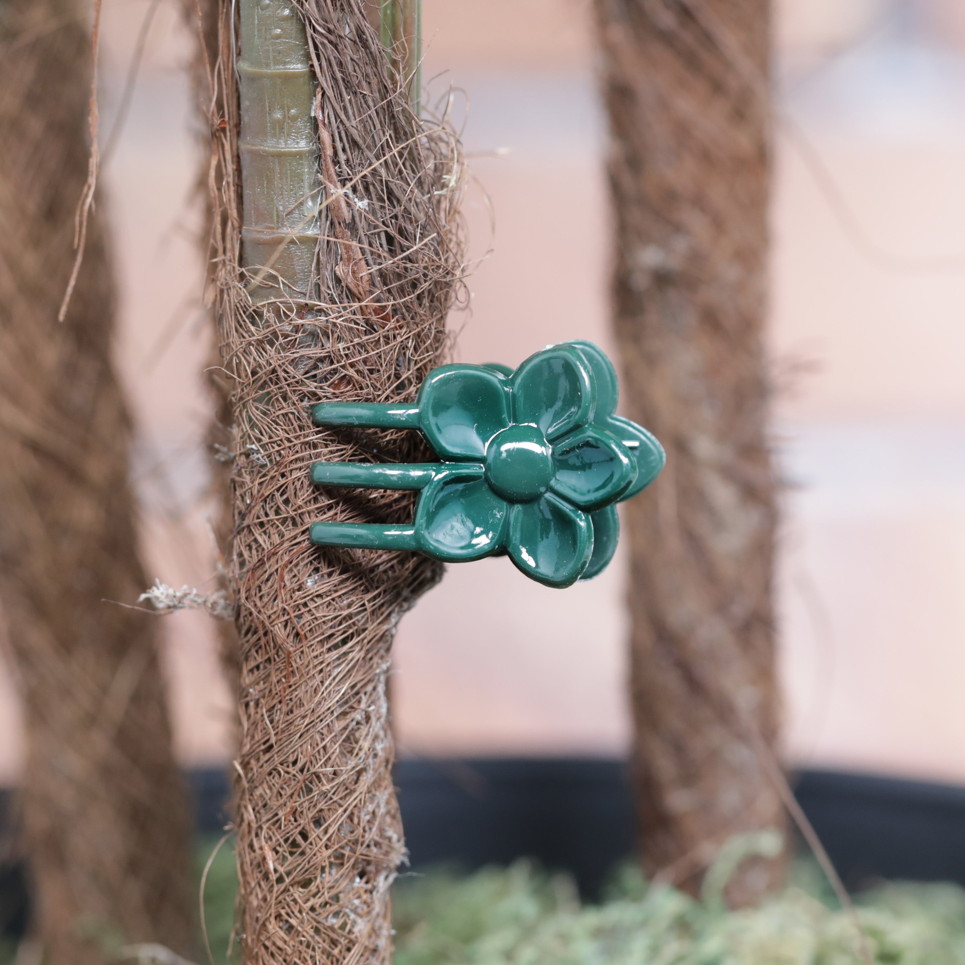 Down To Earth Flower Clips 10pcs