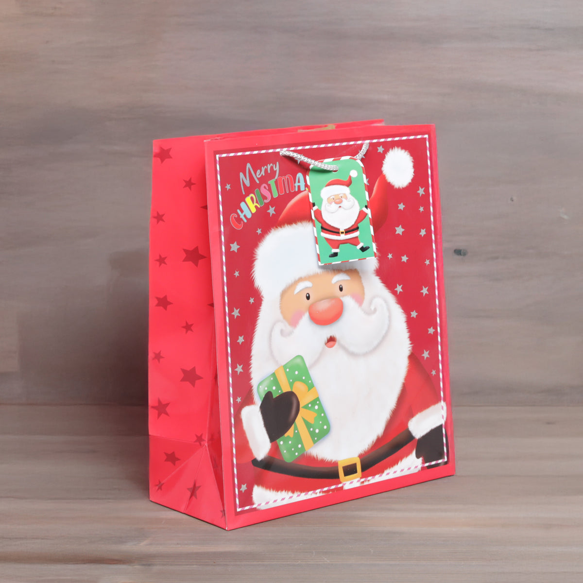 Christmas Bag with Santa - Large and Extra Large