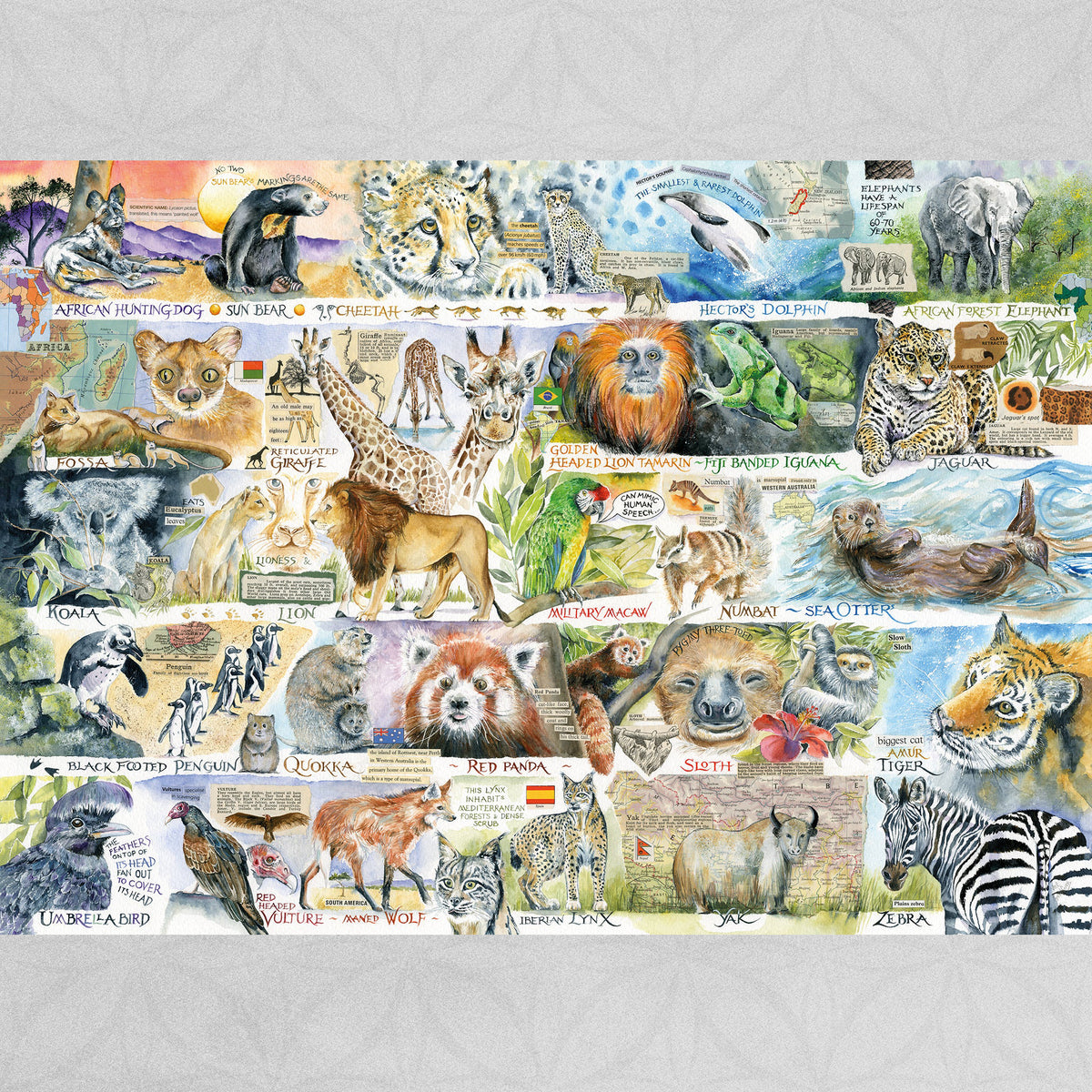 Gibsons 'Sun Bears and Sloths' Endangered Animals 1000 Piece Puzzle