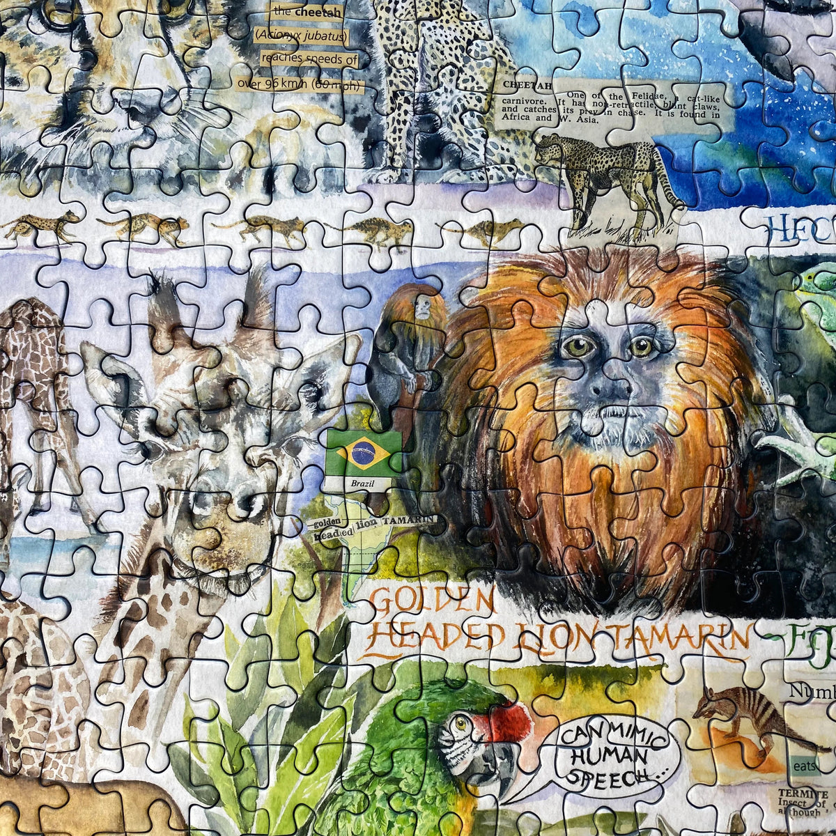Gibsons 'Sun Bears and Sloths' Endangered Animals 1000 Piece Puzzle