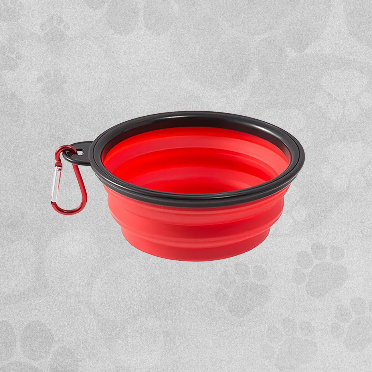 Collapsible Travel Pet Bowl