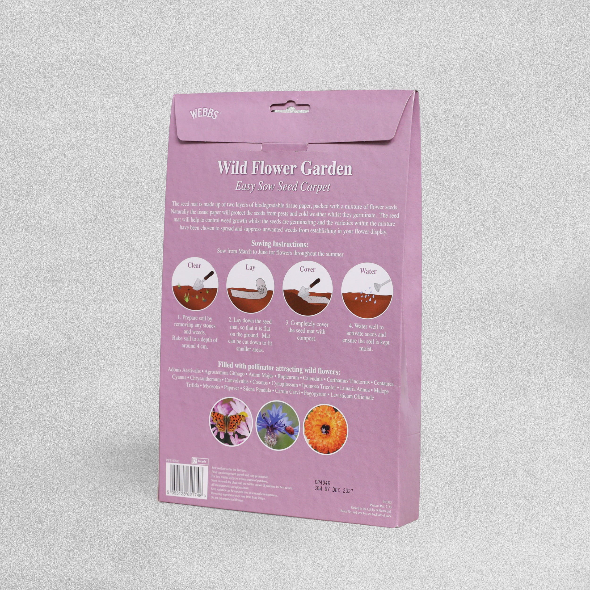 Webbs Easy Sow Seed Carpet