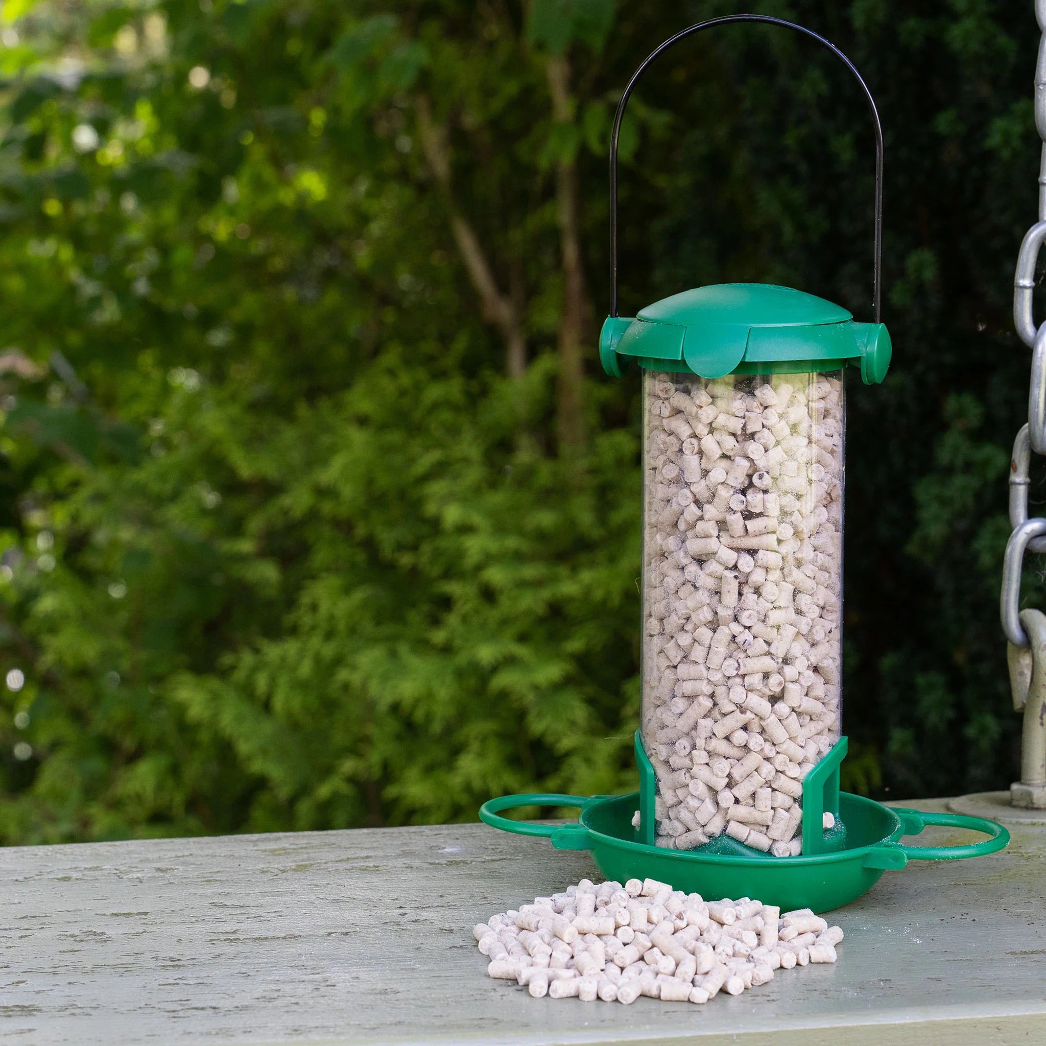 Gardman Flip Top Suet Treats & Mealworm Feeder
