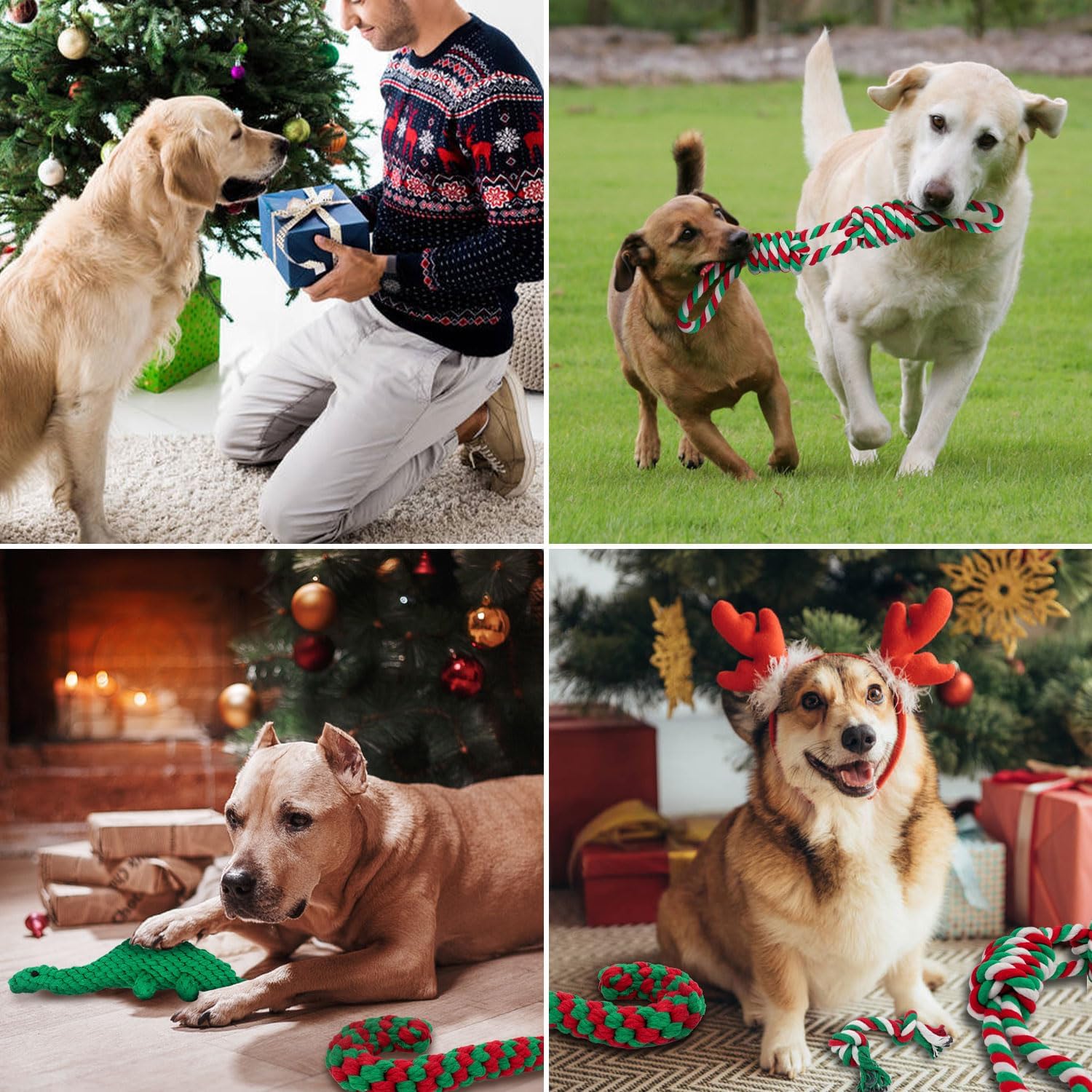 Dog Rope Toy Packs - 5pcs - Various Colours Available