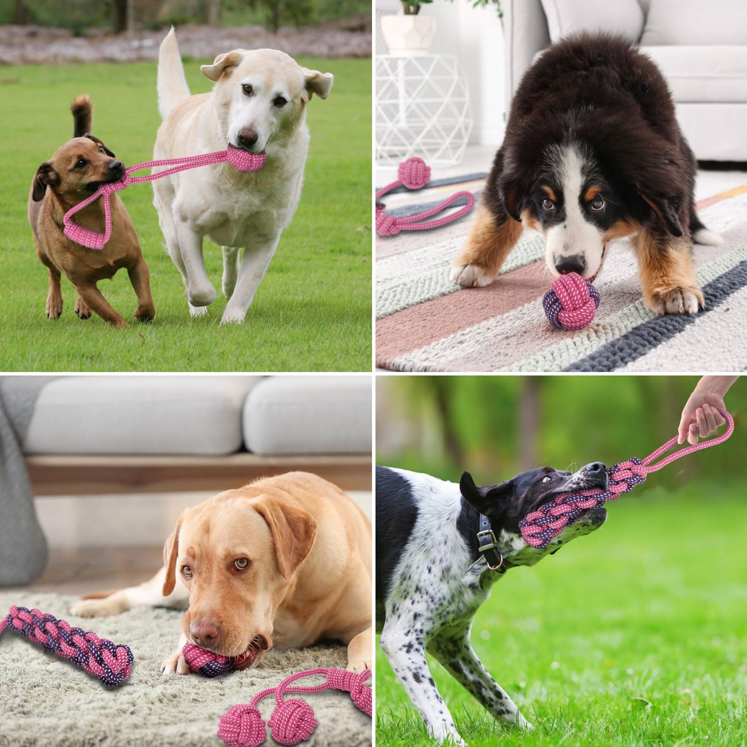 Dog Rope Toy Packs - 5pcs - Various Colours Available