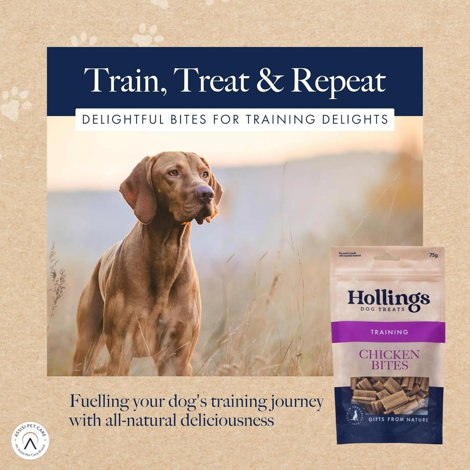 Hollands Training Dog Treats Chicken Bites - 75g