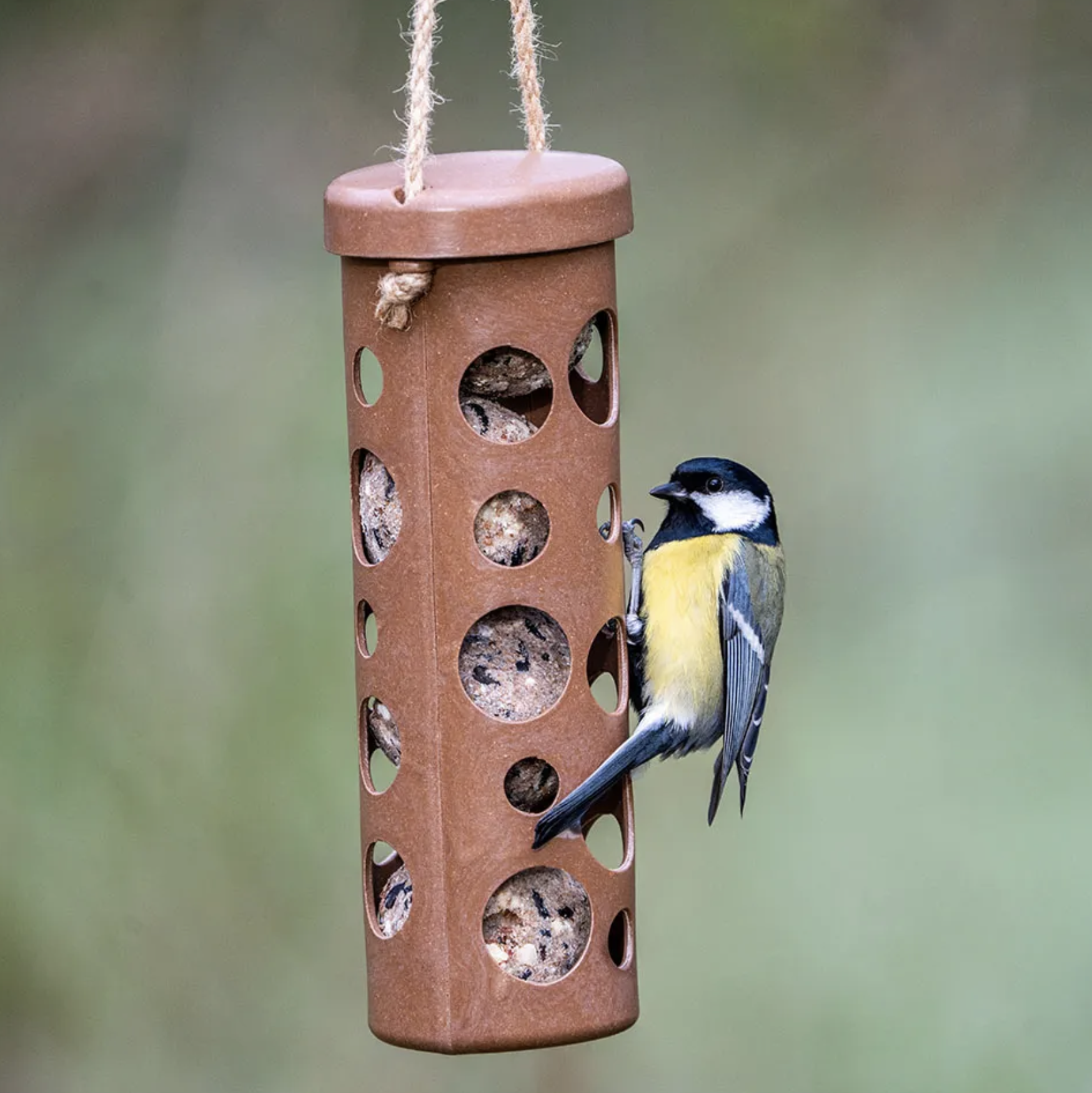 CJ Wildlife Fat Ball Holder Rome - Various Colours Available