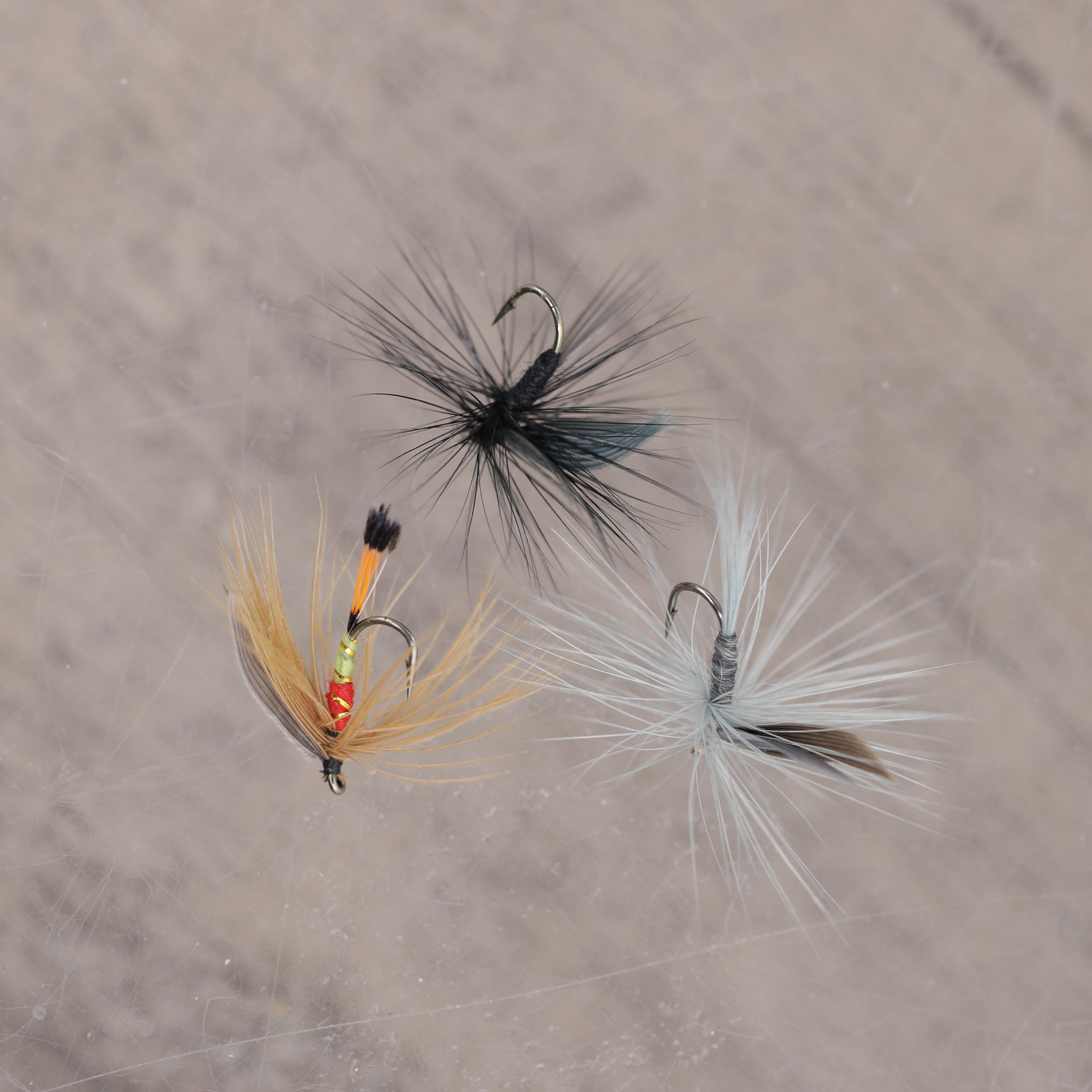 Wet Fly Gotcha Tackle Fishing 3 Pack