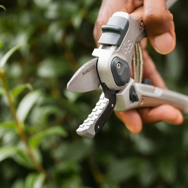 Kent & Stowe Sure Cut Hard Wood Lite Anvil Secateurs