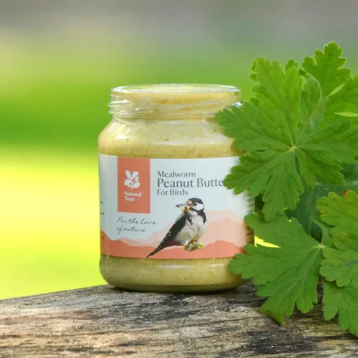 National Trust Mealworm Peanut Butter for Birds
