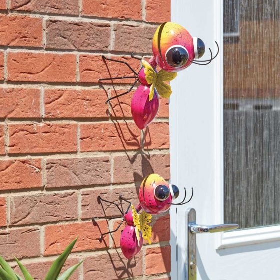 Smart Garden Jazee Ant