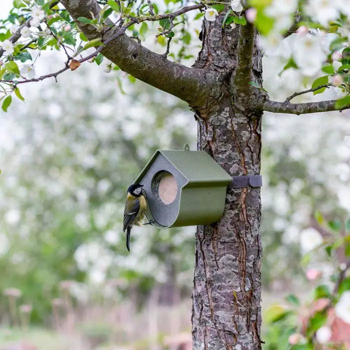 Evie Peanut Butter Feeder for Birds