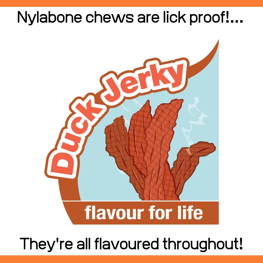 Nylabone Extreme Dog Chew - X-large-23kg+