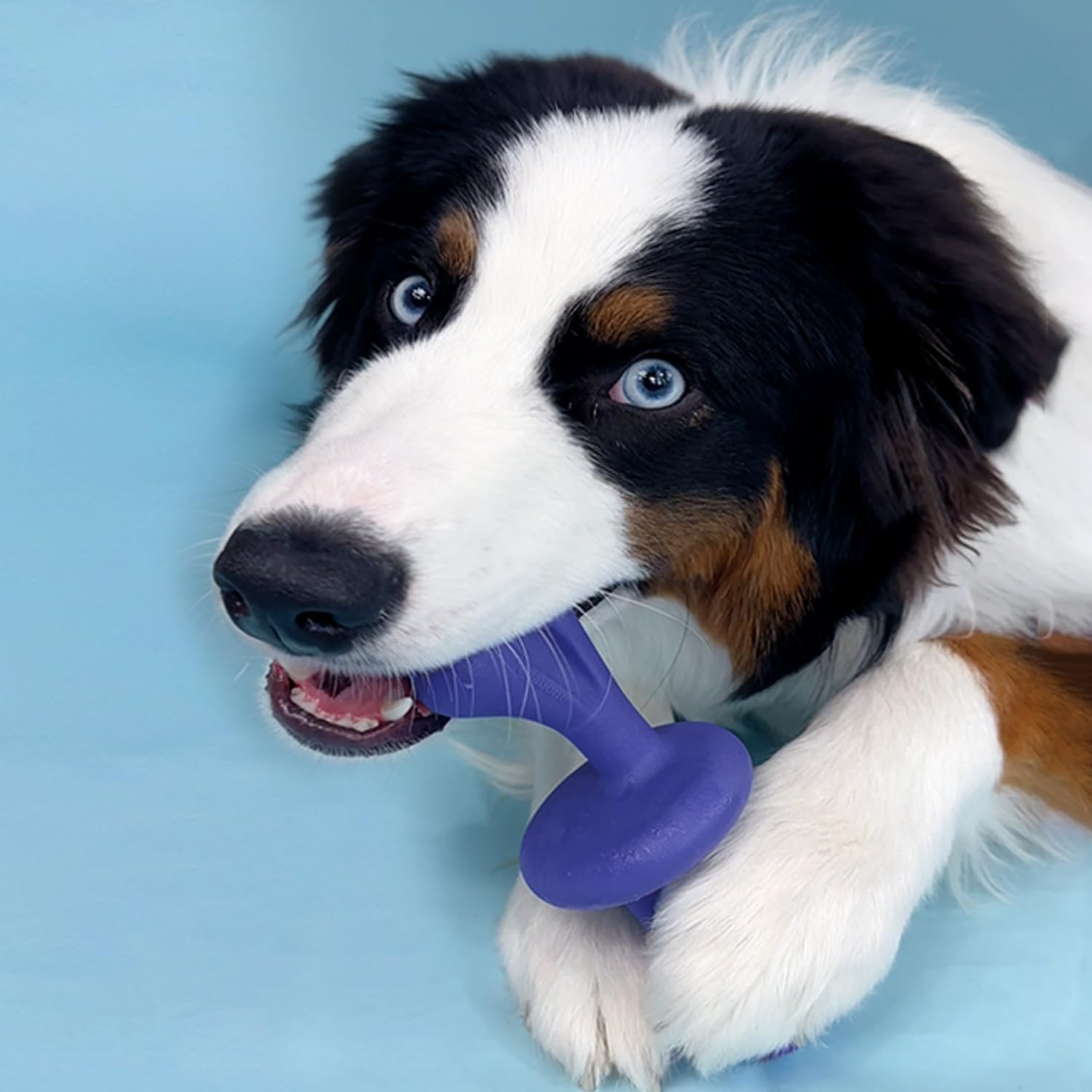 Nylabone Extreme Dog Chew - Large (up to 23kg)