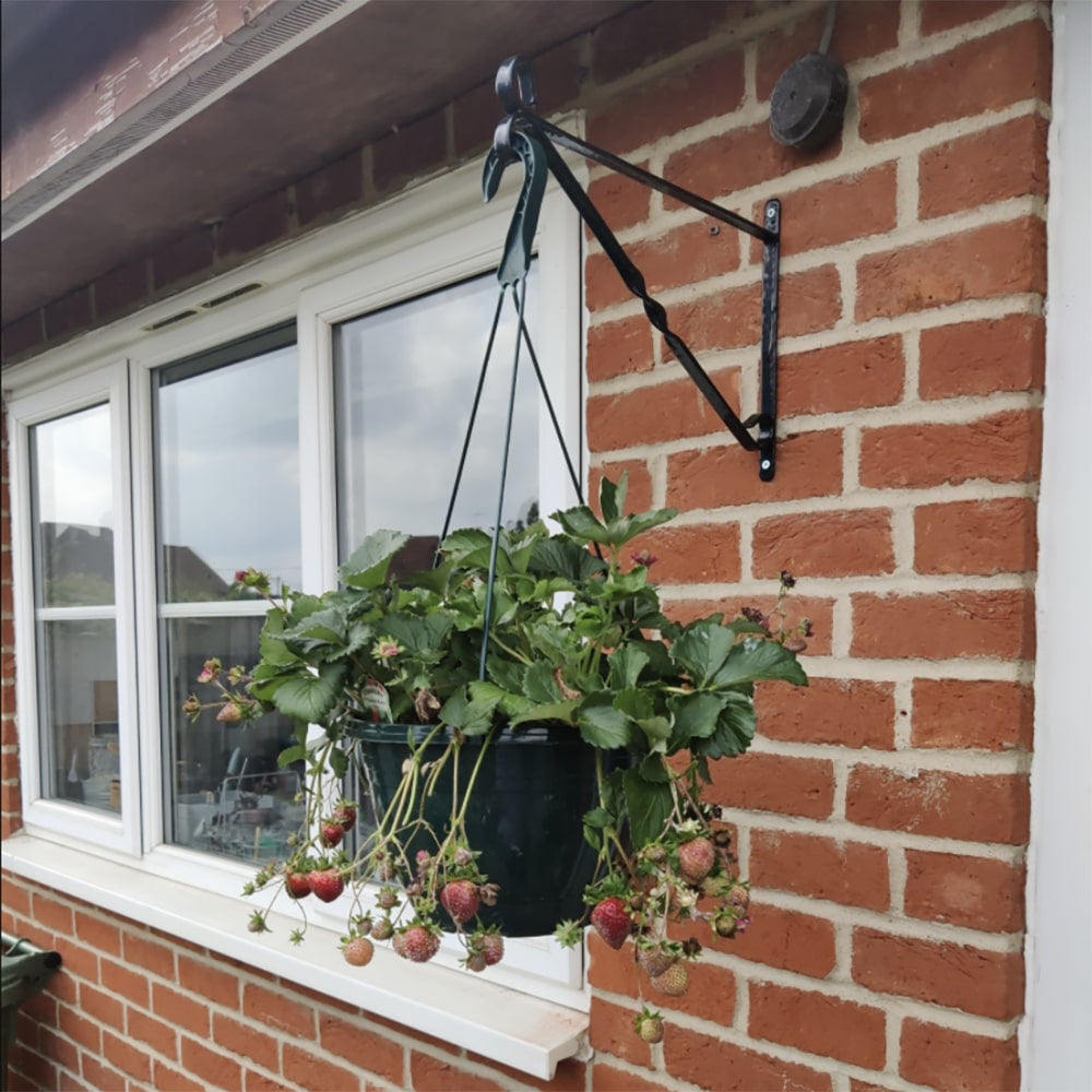 Green Jem Garden Wall Hanging Basket Bracket - Green - 30 cm (12")