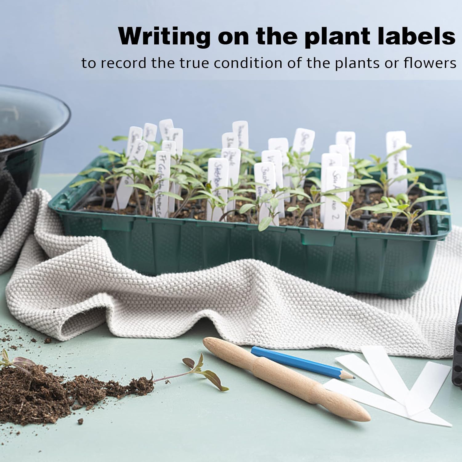 15cm (6″) White Plant Labels - Rigid Long Life Reusable - Pack of 100