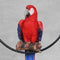 Vivid Arts Hanging Ornament - Red Macaw on Perch