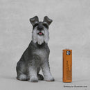 Vivid Arts Plant Pal - Schnauzer