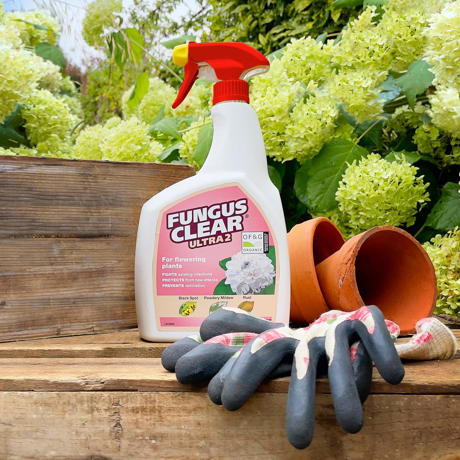 Fungus Clear Ultra 2 - 800ml