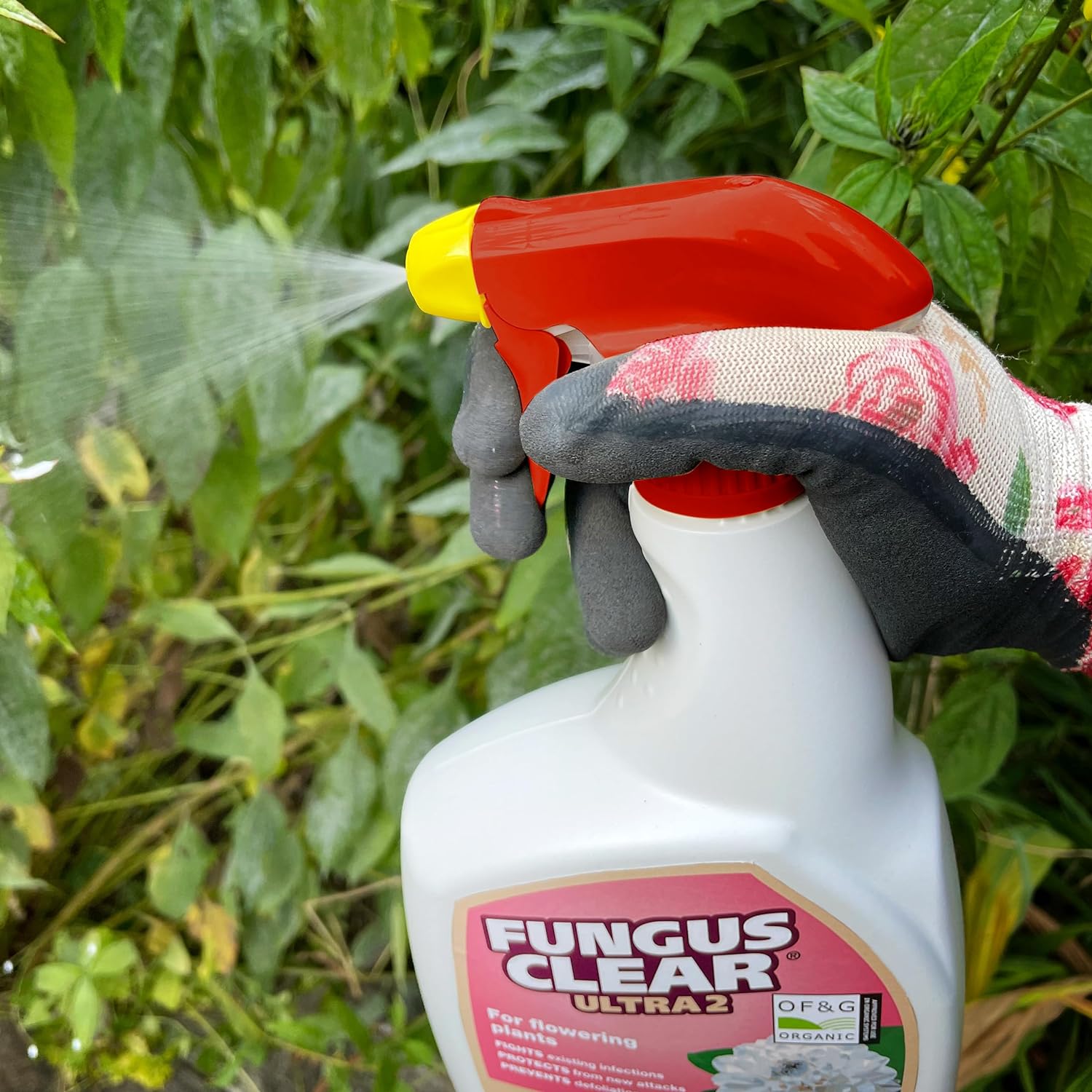 Fungus Clear Ultra 2 - RTU 800ml Trigger