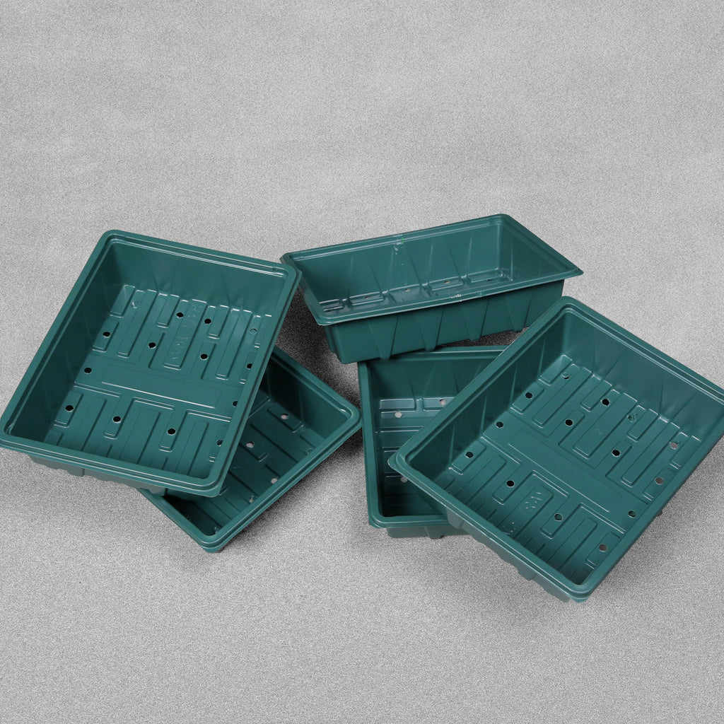 Half Seed Trays with Drainage Holes 23cm Set of 5