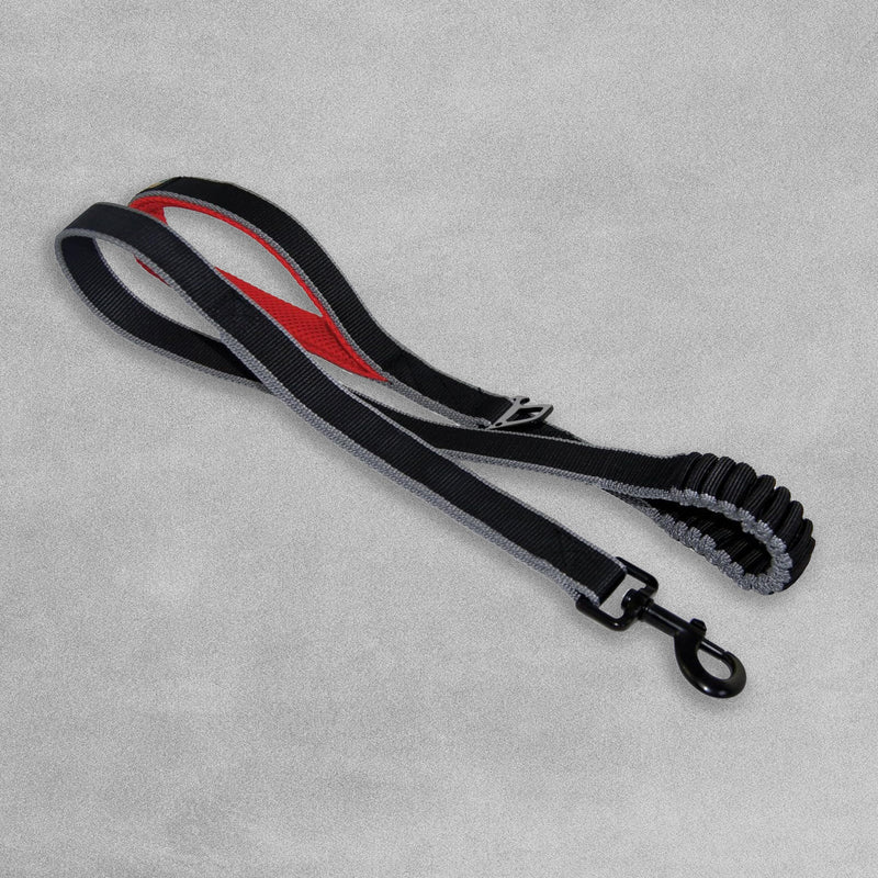 Kurgo Springback Lite Dog Leash - 30" Running Lead