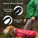 Kurgo Springback Lite Dog Leash - 30" Running Lead