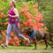 Kurgo Springback Lite Dog Leash - 30" Running Lead