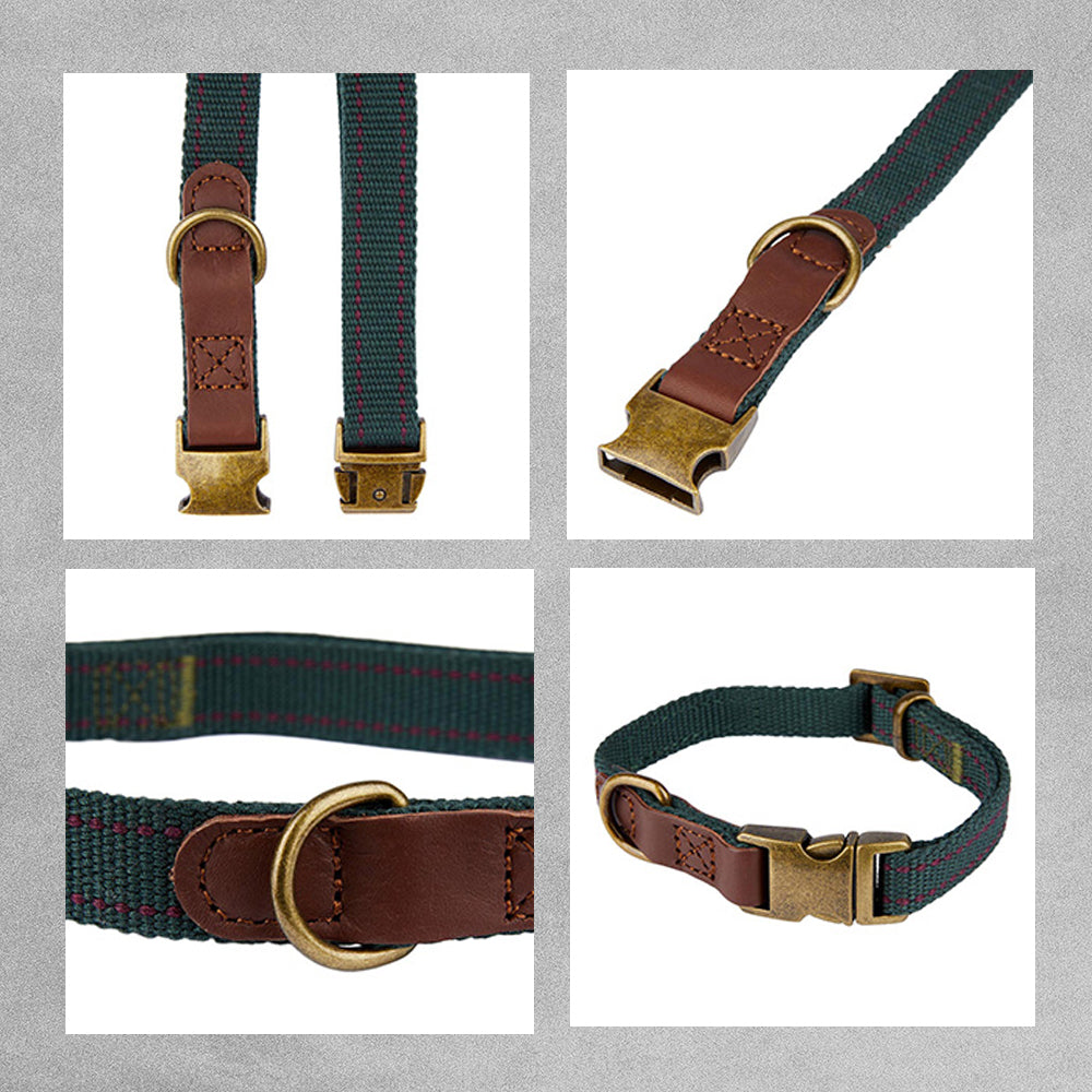 Green Dog Collar with Leather