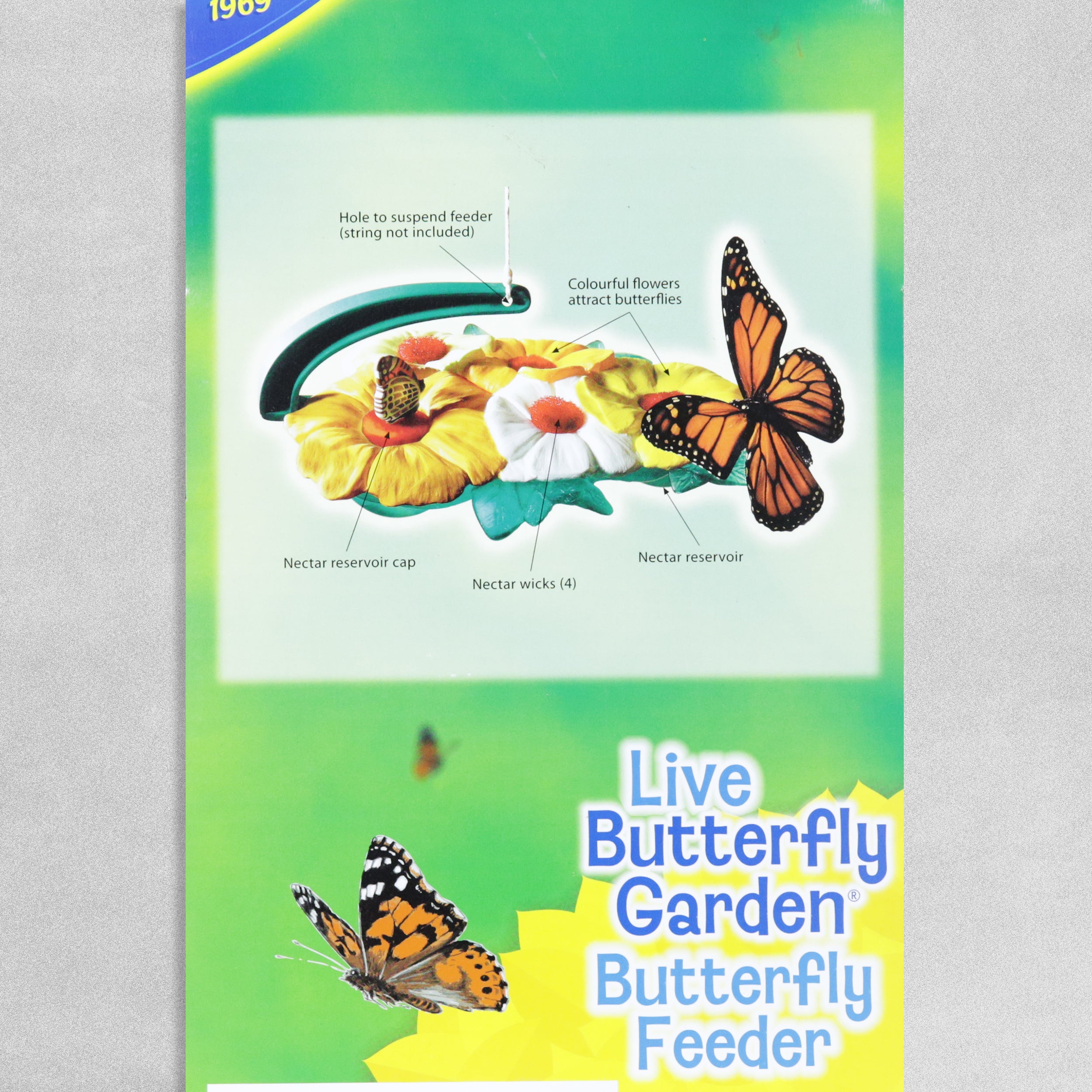 Insect Lore - Butterfly Feeder