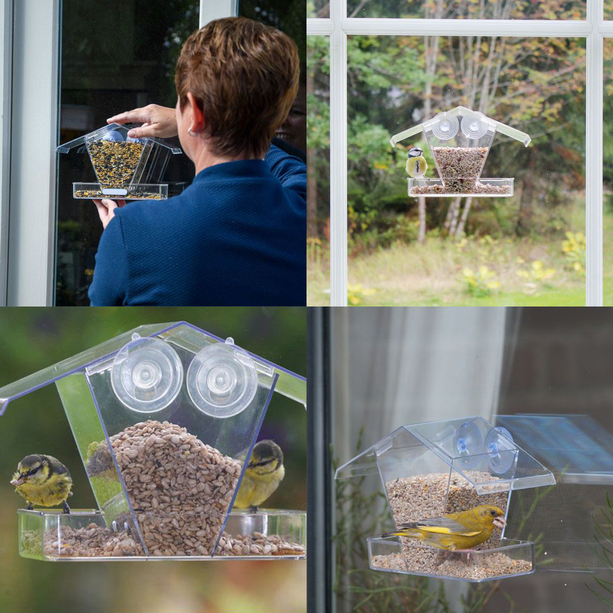 Crete Window Seed Feeder