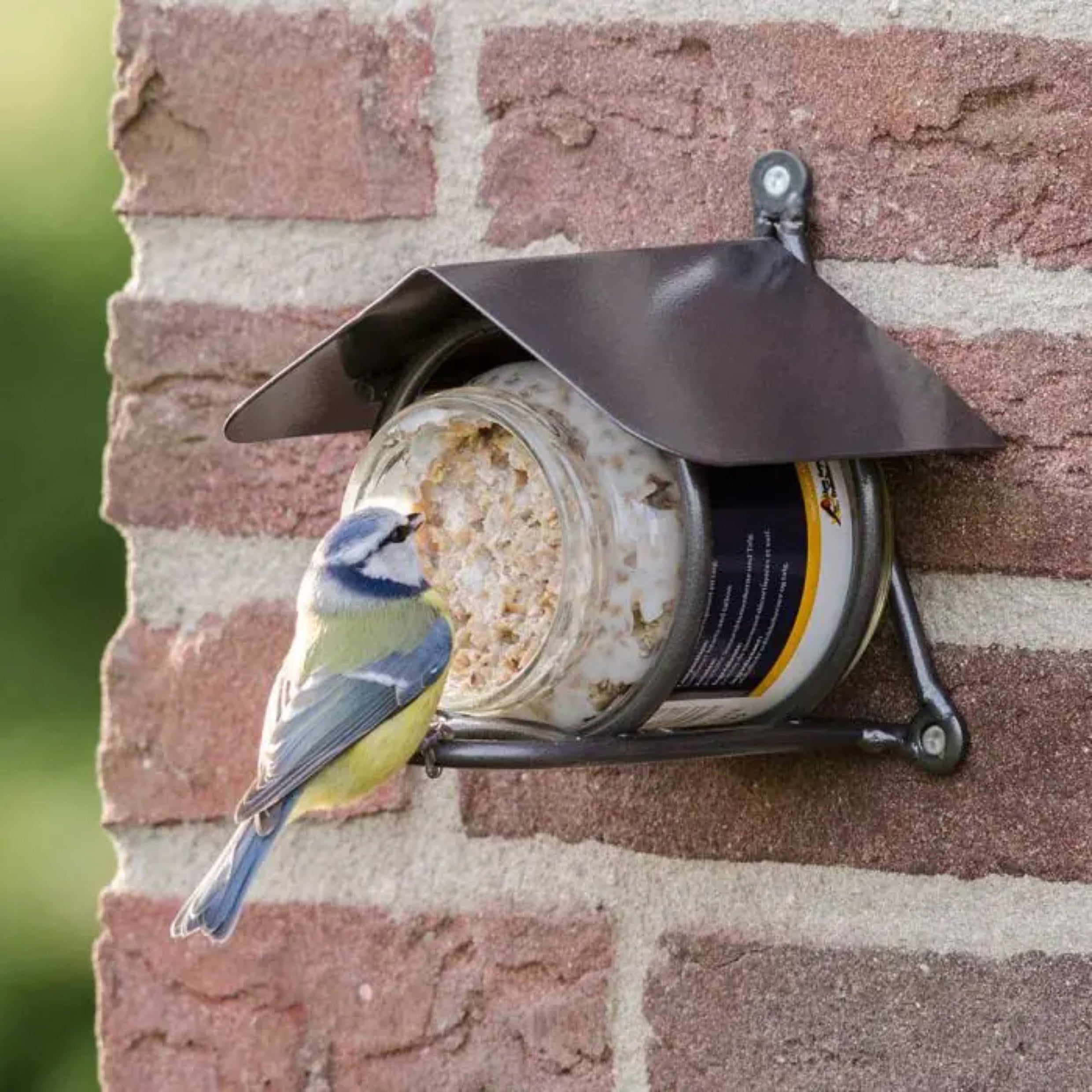 Peanut Butter for Birds