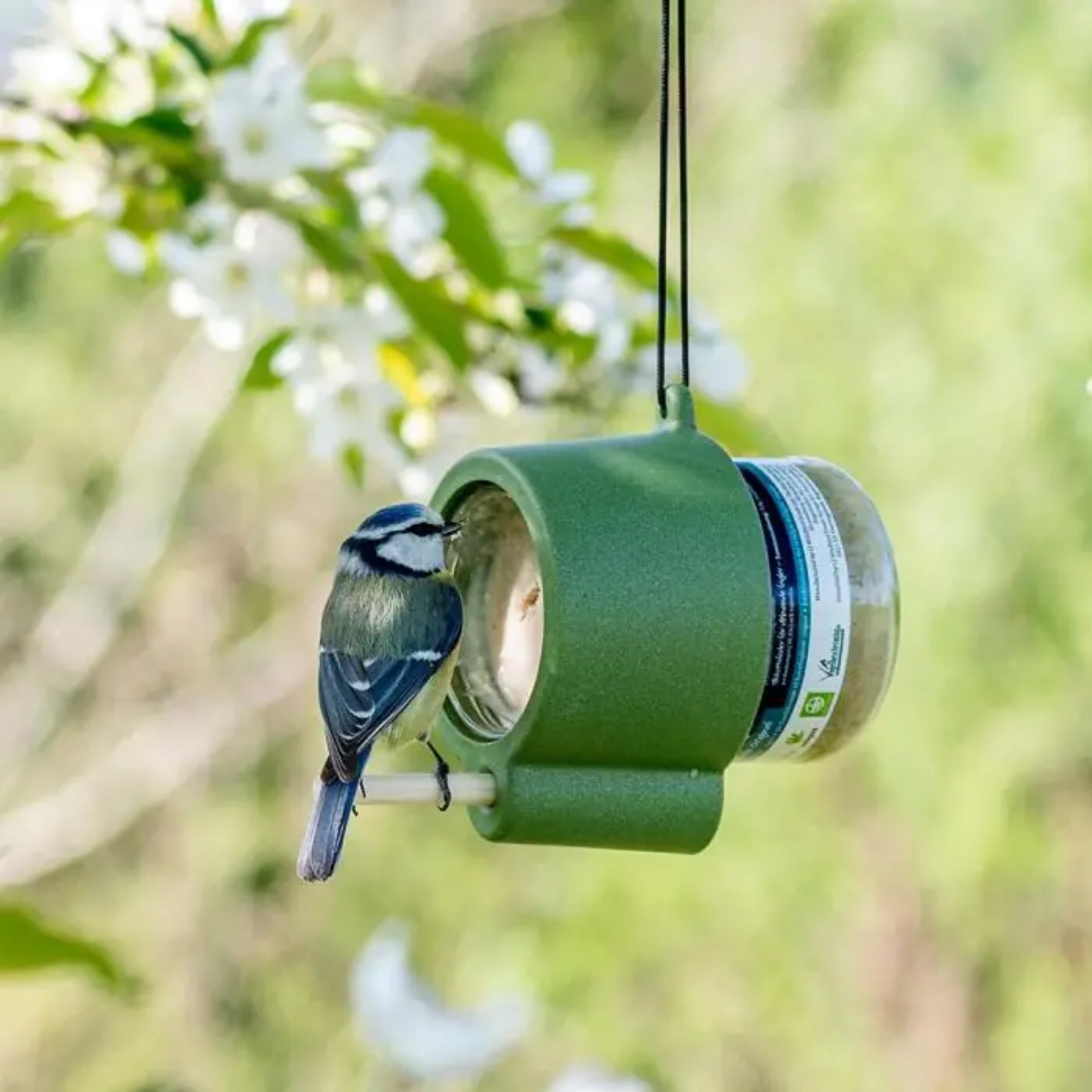 Peanut Butter for Birds