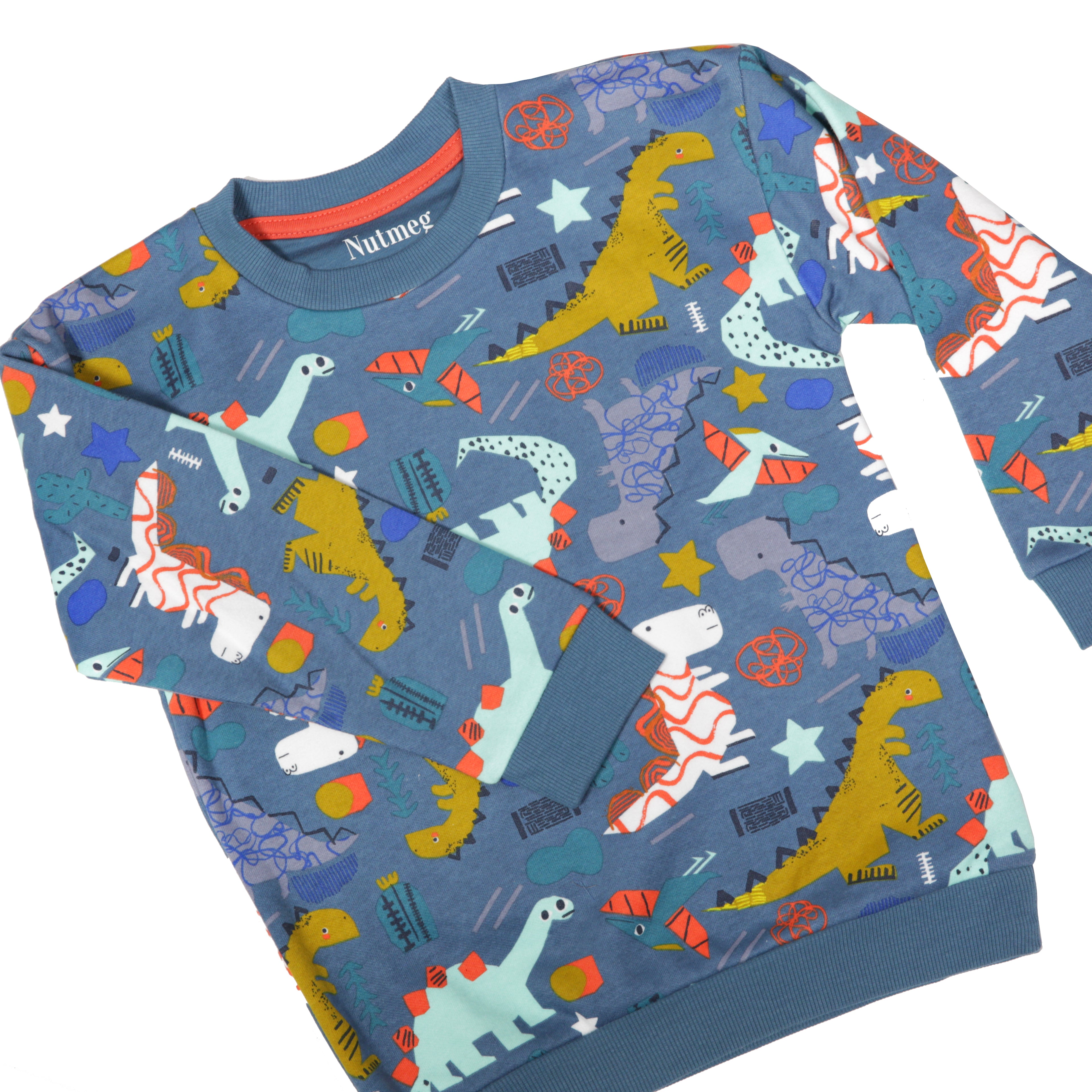 Nutmeg - Children's Dinosaur Sweatshirt