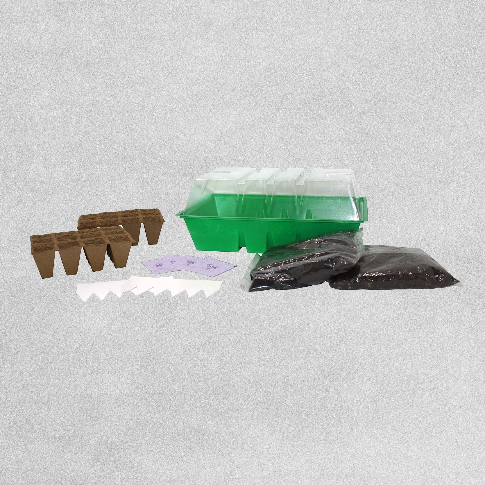 Bee Friends Butterfly Garden Starter Kit