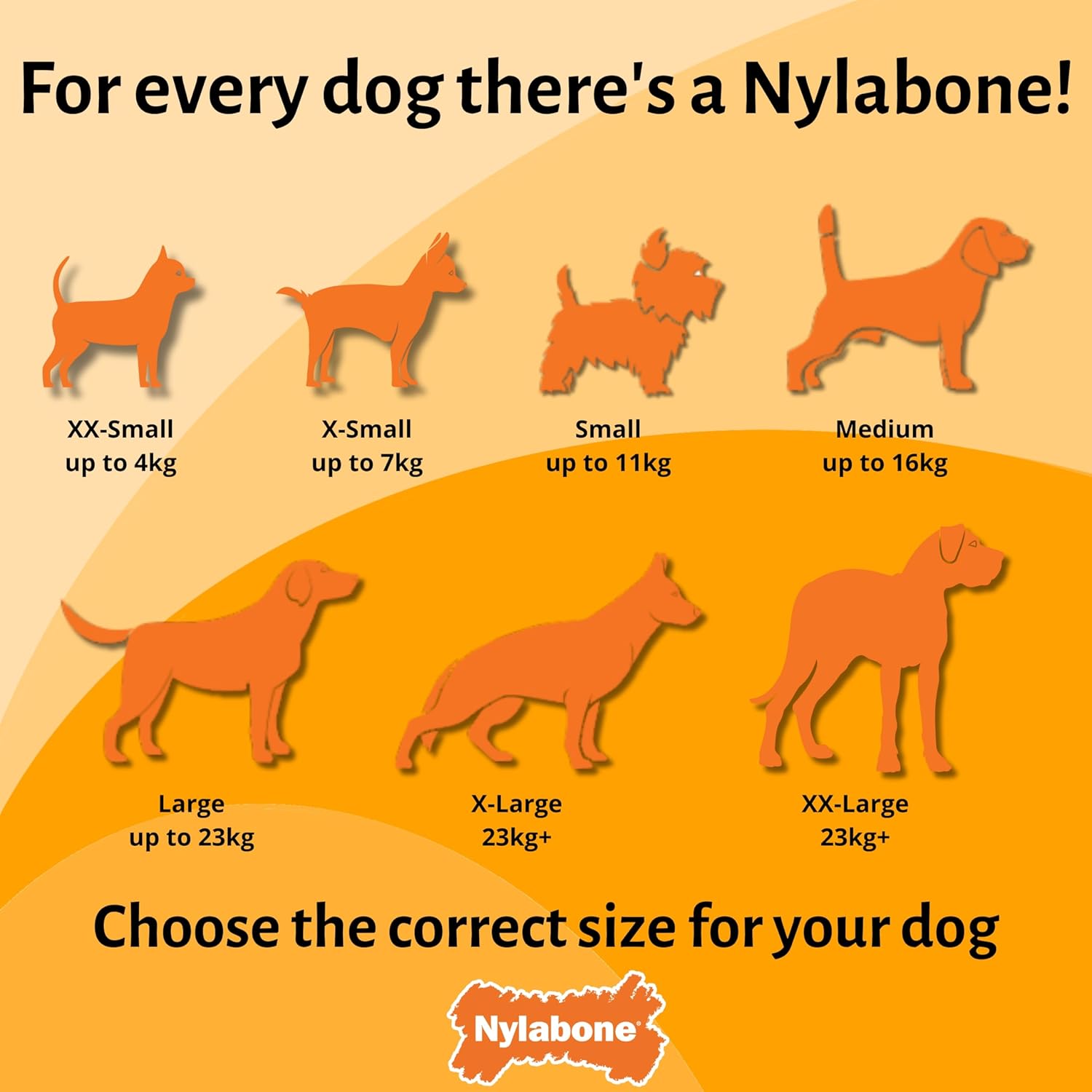 Nylabone Extreme Dog Chew - Large (up to 23kg)